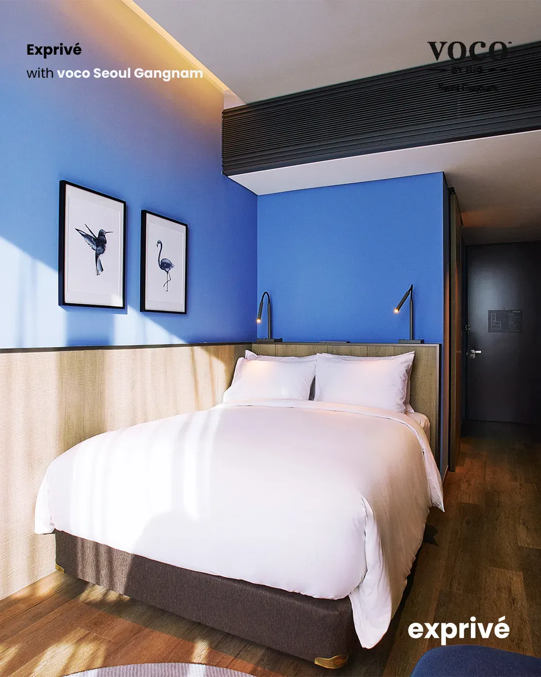 voco首尔江南酒店 中华圈博主招募