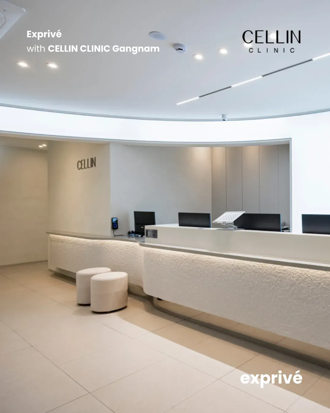 [Cellin Gangnam] Expat Influencers Collab