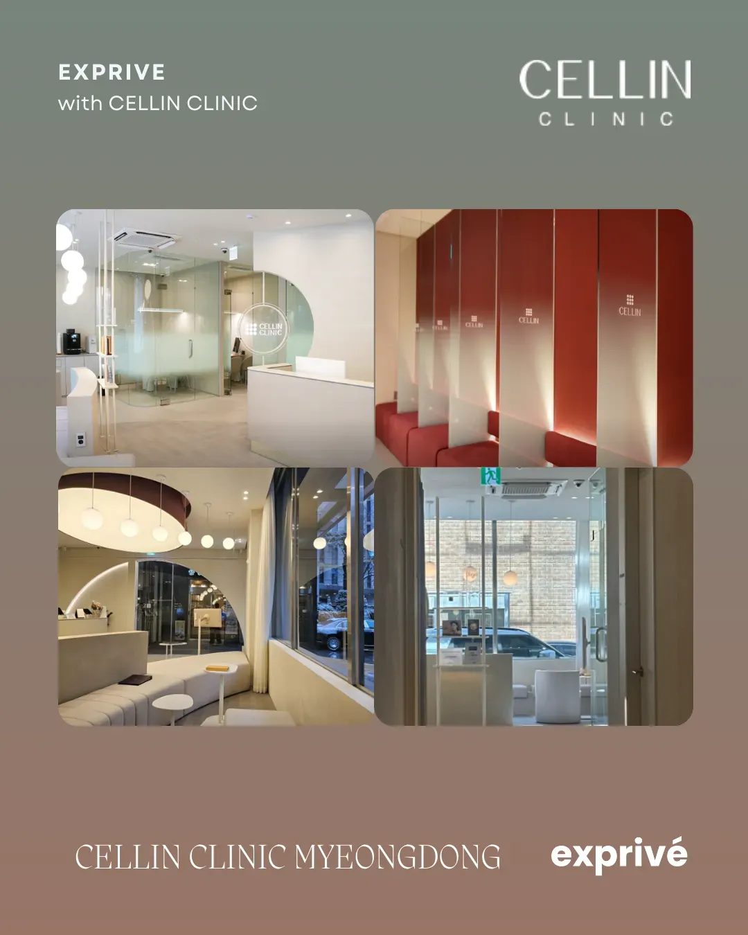 Cellin Myeongdong. Autumn Collab