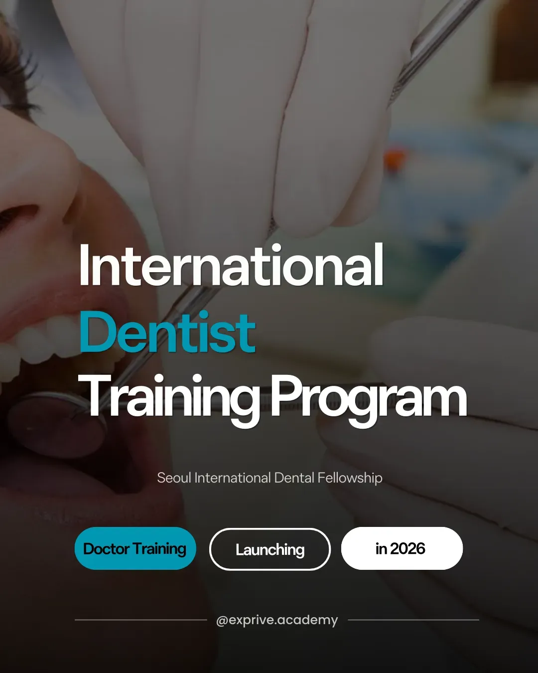 Dermatology Intensive Doctor Training Program 