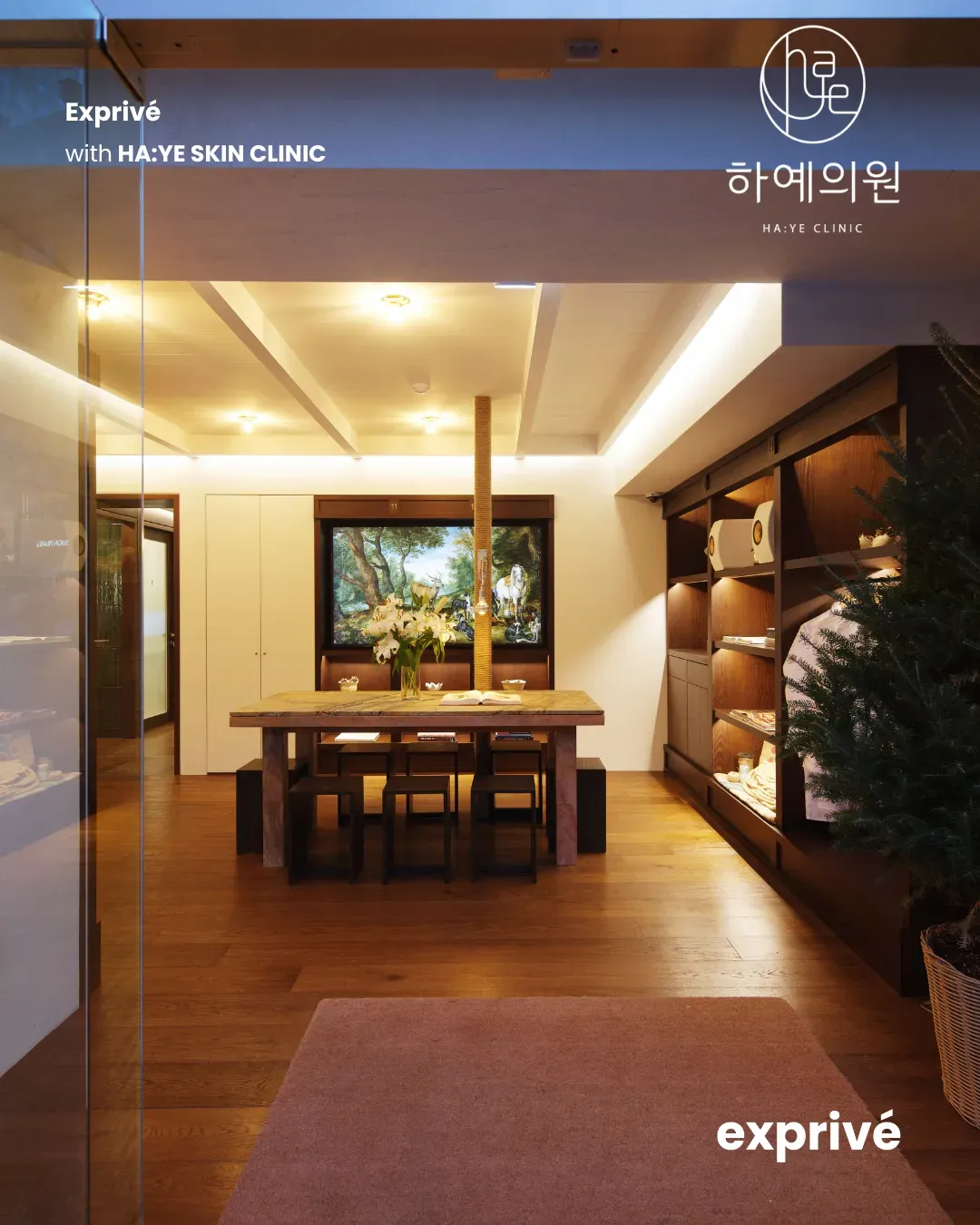 [HA:YE SKIN CLINIC] Collab