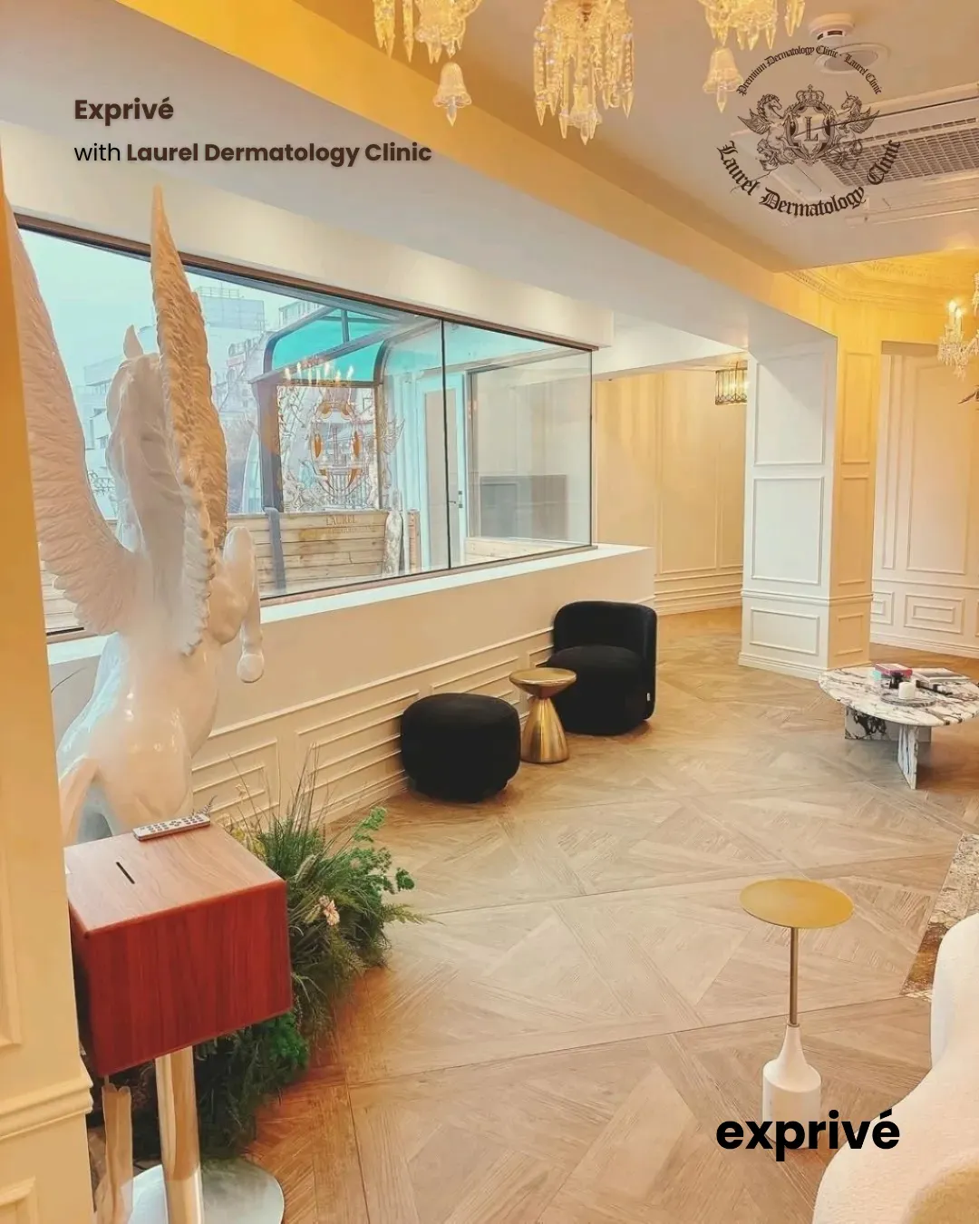 Laurel Dermatology Premium Collaboration