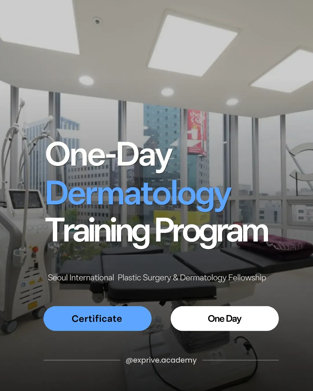 Dermatology Doctor Training: Basic [One-Day Class] 