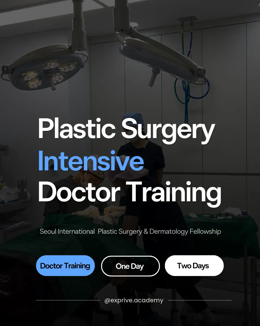 Plastic Surgery Intensive Doctor Training Program 