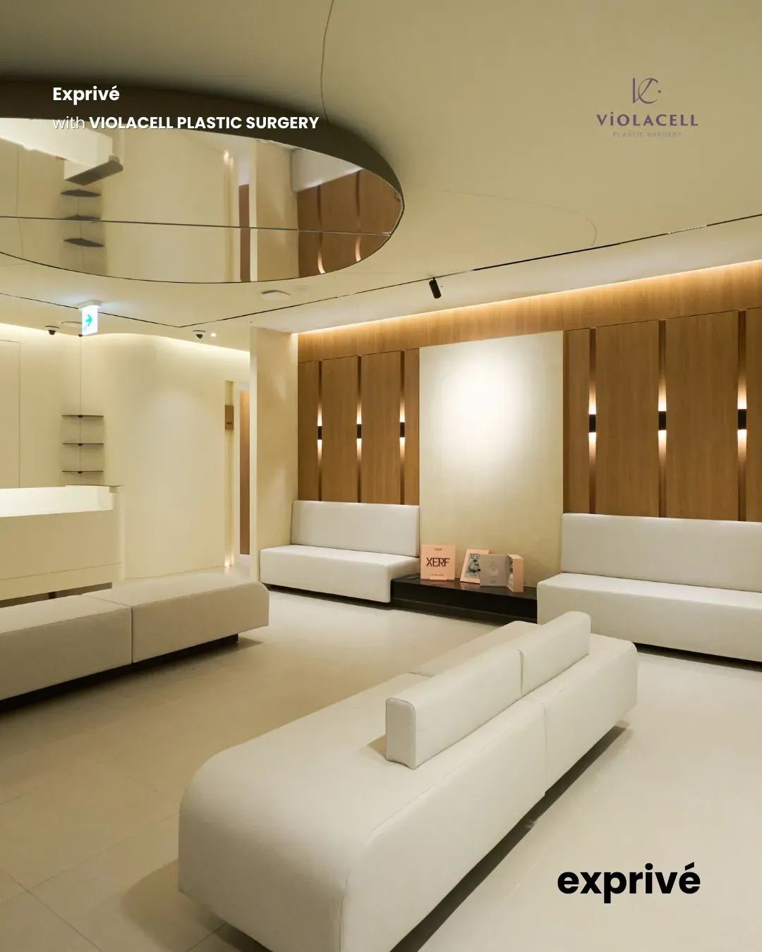 [VIOLACELL] 3K+ Influencers Collaboration