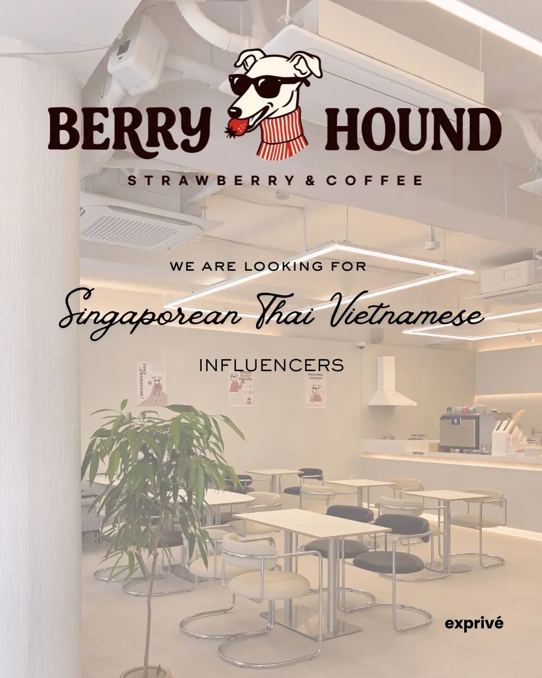 Berry Hound Café, Gangnam 