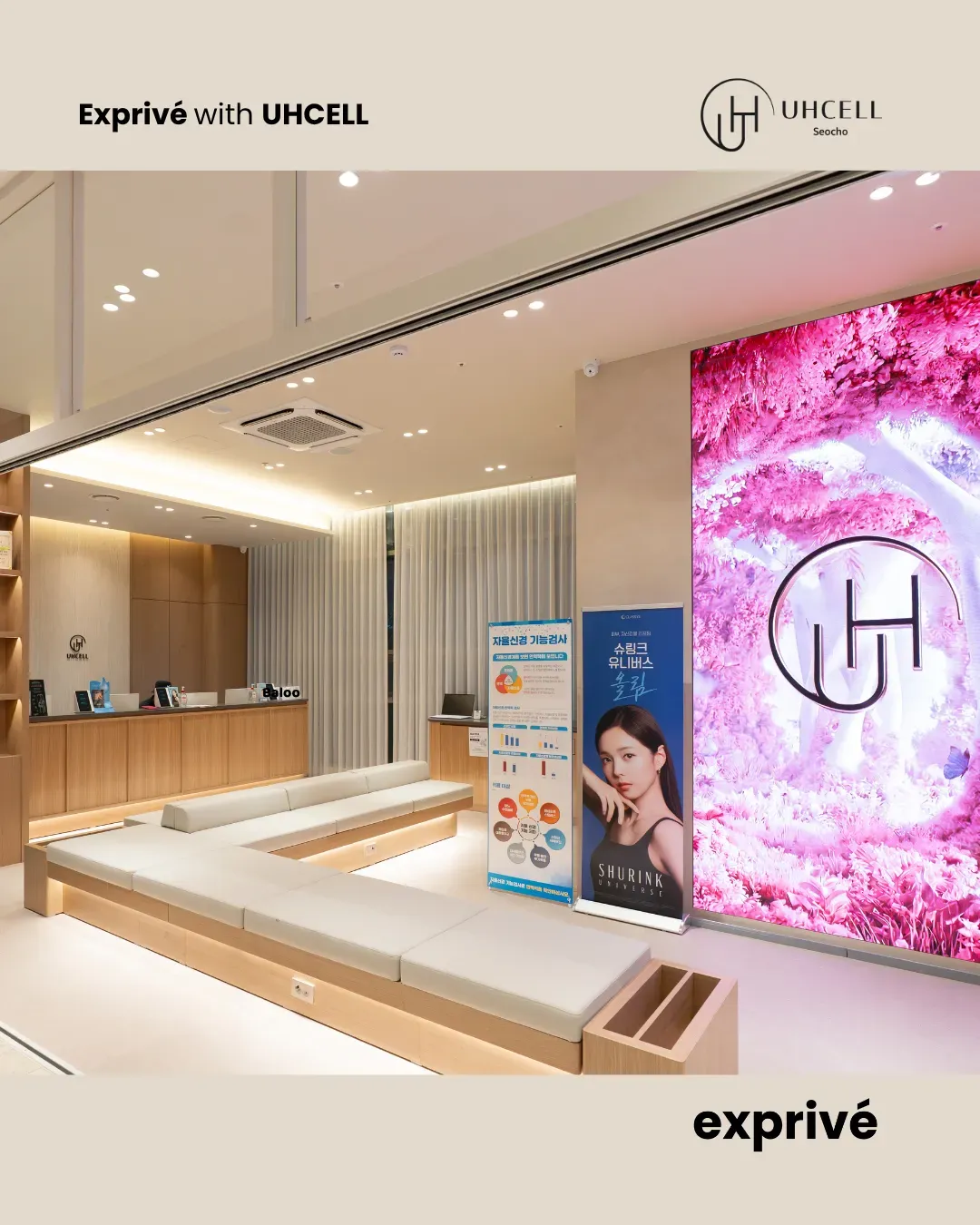 Exclusive Beauty Creator Recruitment – UH CELL Seocho