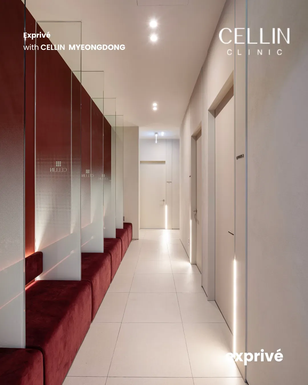 [CELLIN MYEONGDONG] 3000+ Followers Collab