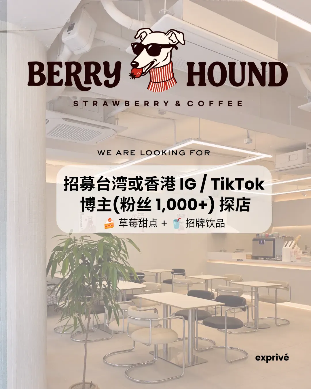 【Berry Hound Café】江南区草莓甜品招募中华圈博主