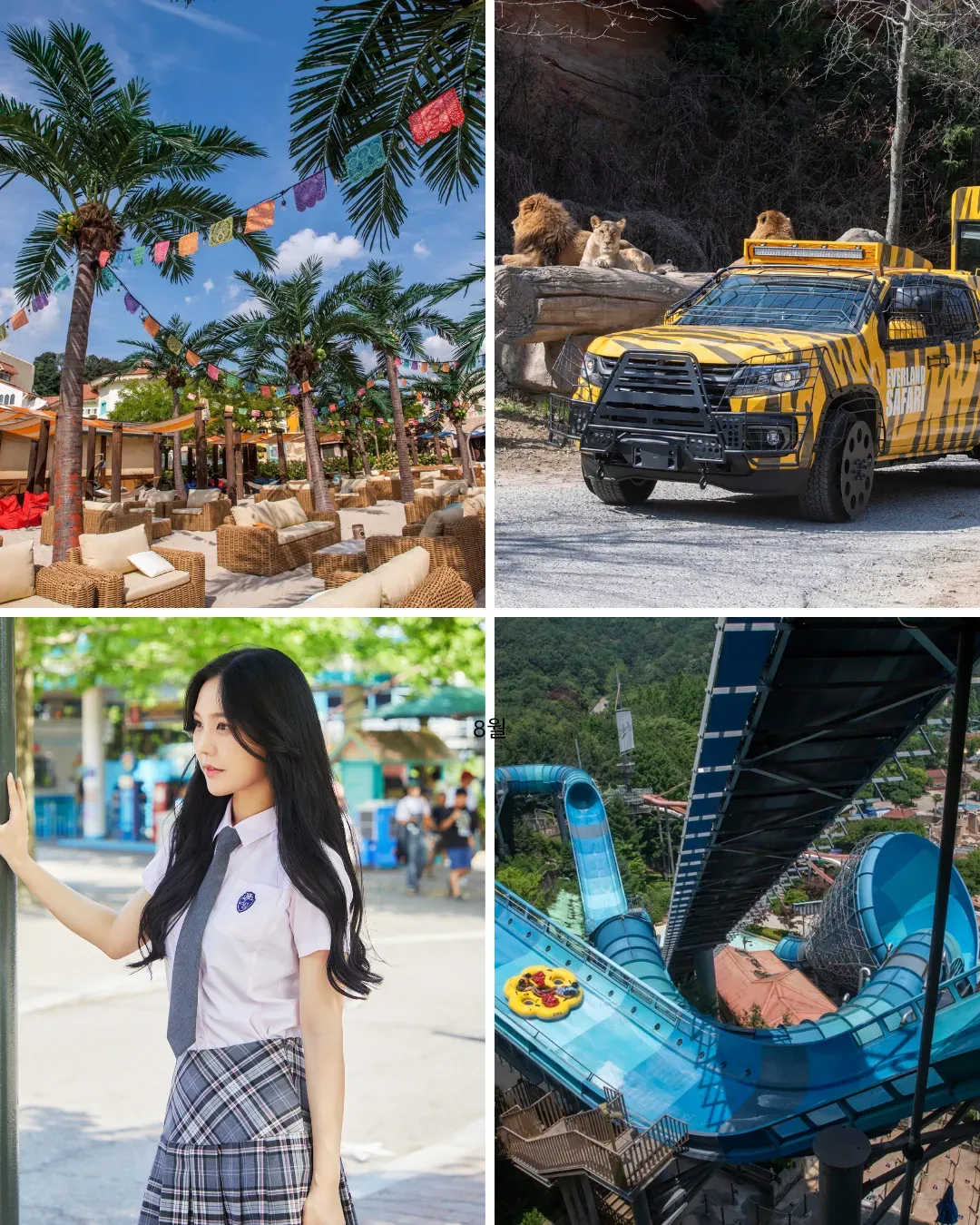 Everland Theme Park Collaboration [Summer Experience Edition]