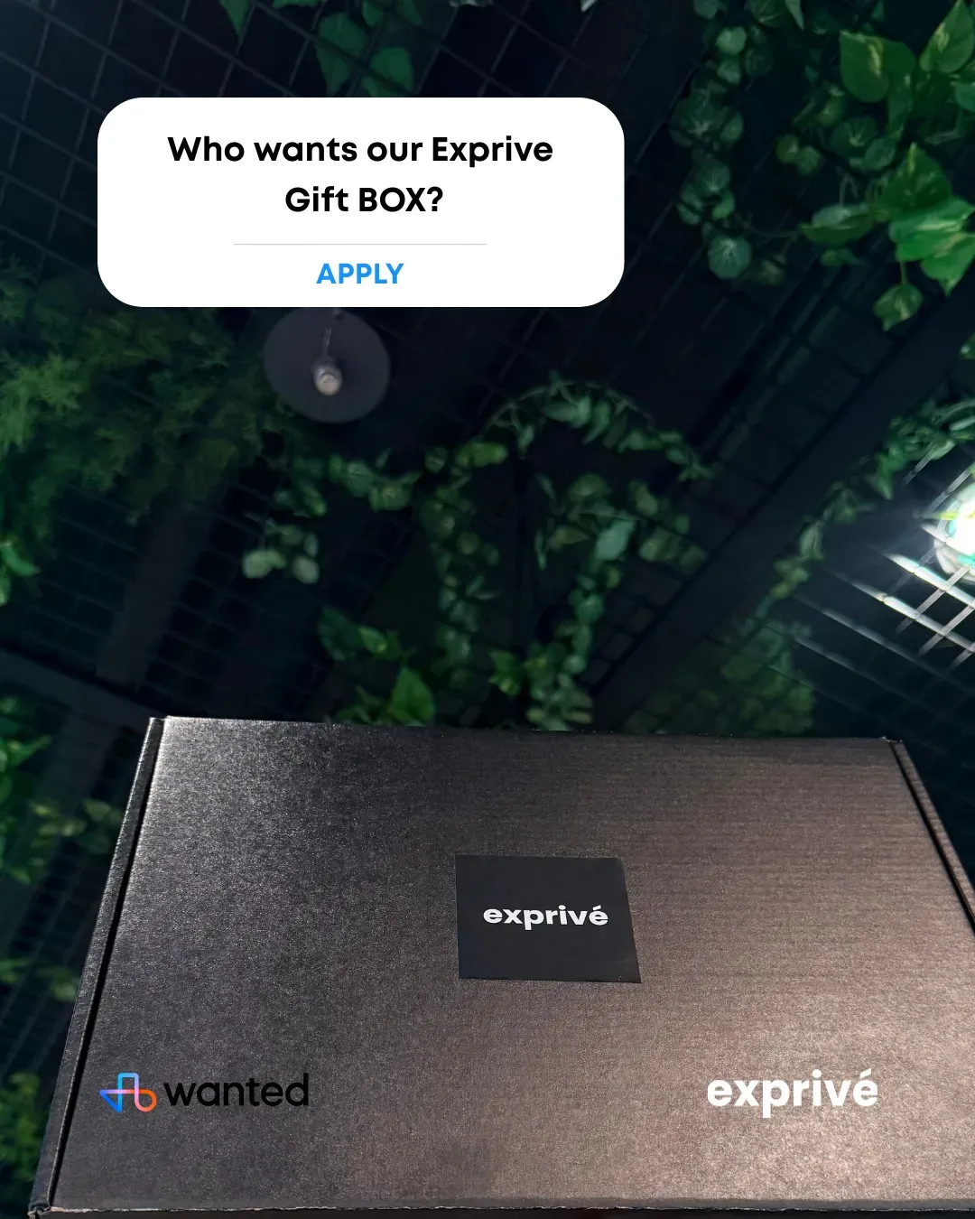 [Exprive x Wanted] Let's visit Career Exchange Event and get Exprive Gift Box + Boreum Serum !