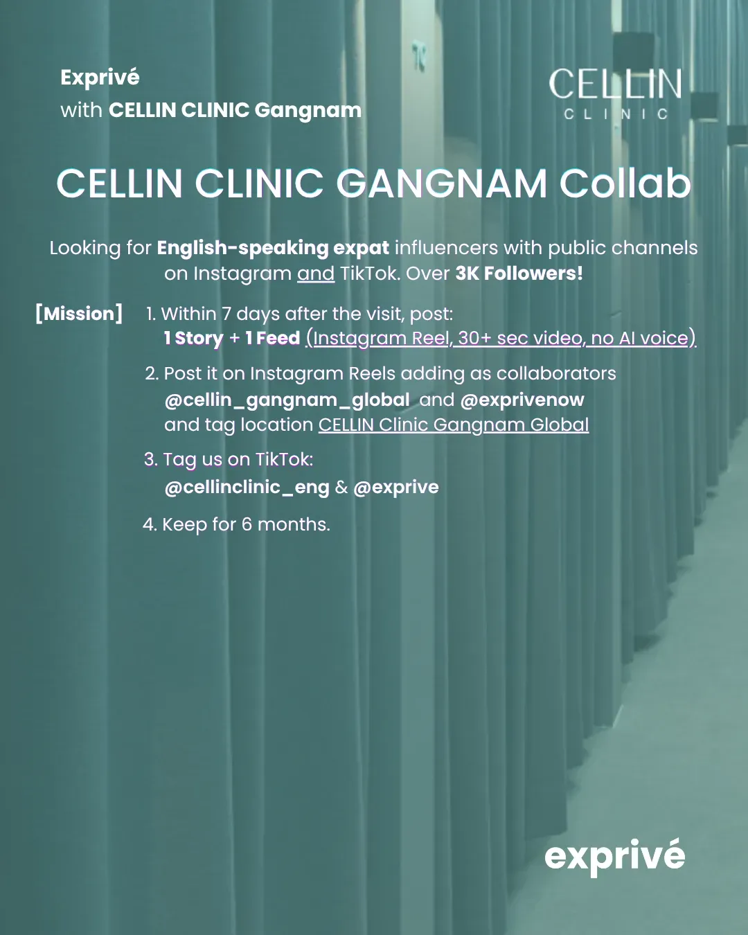 [Cellin Gangnam] 3K+ Expat Influencers