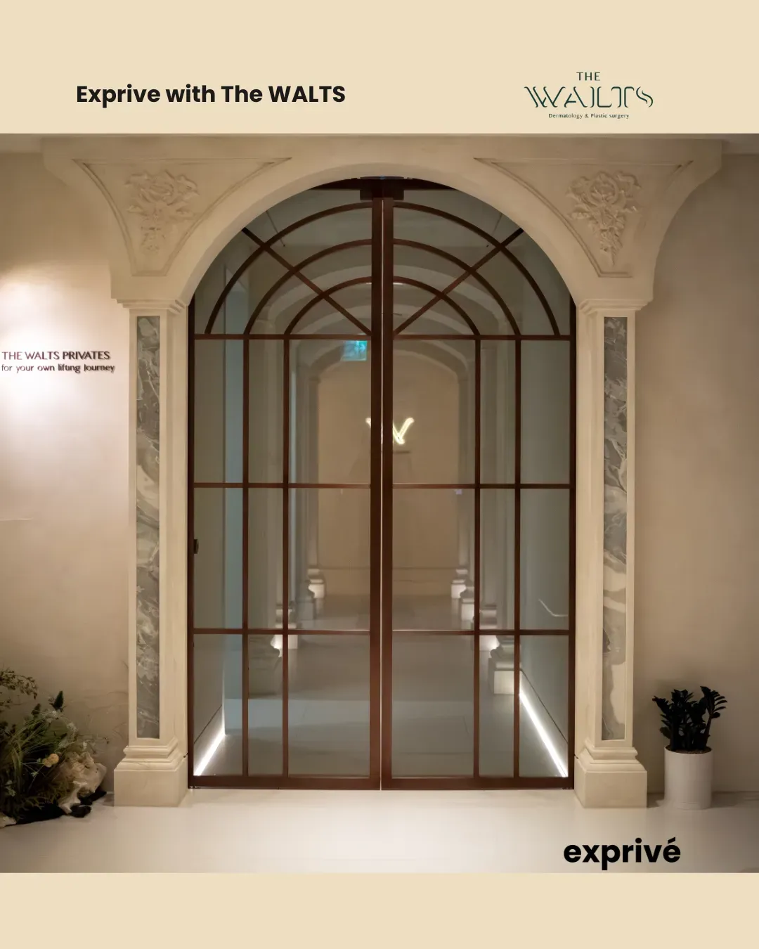 Experience The WALTS: Korea’s Top Destination for Skin Lifting & Anti-Aging