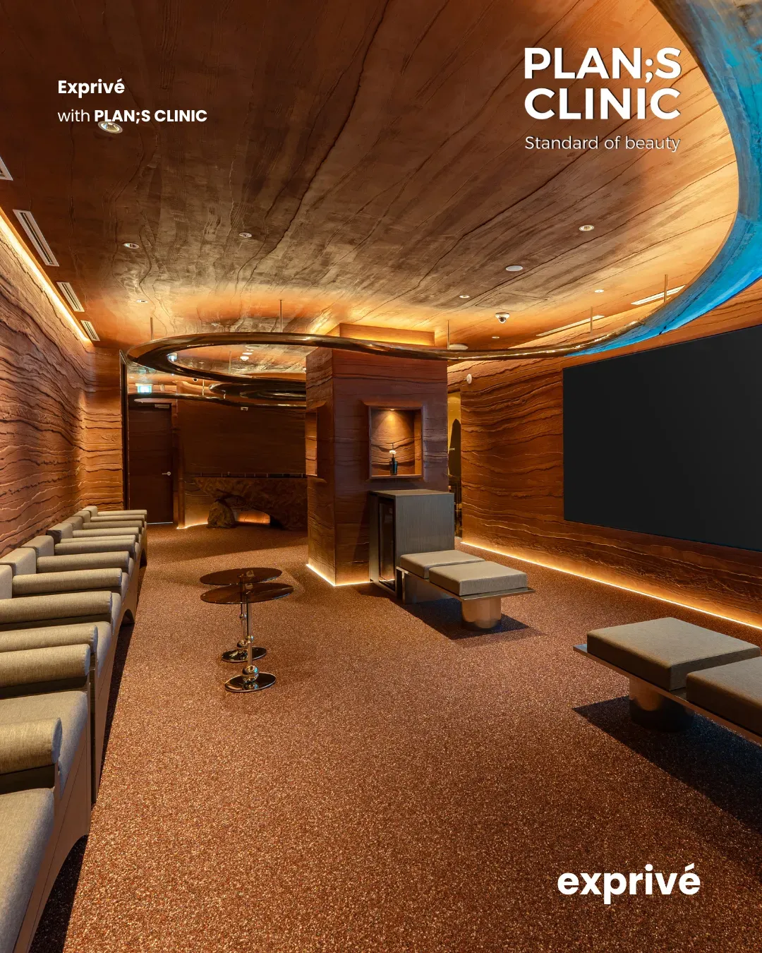 PLAN;S CLINIC Collab