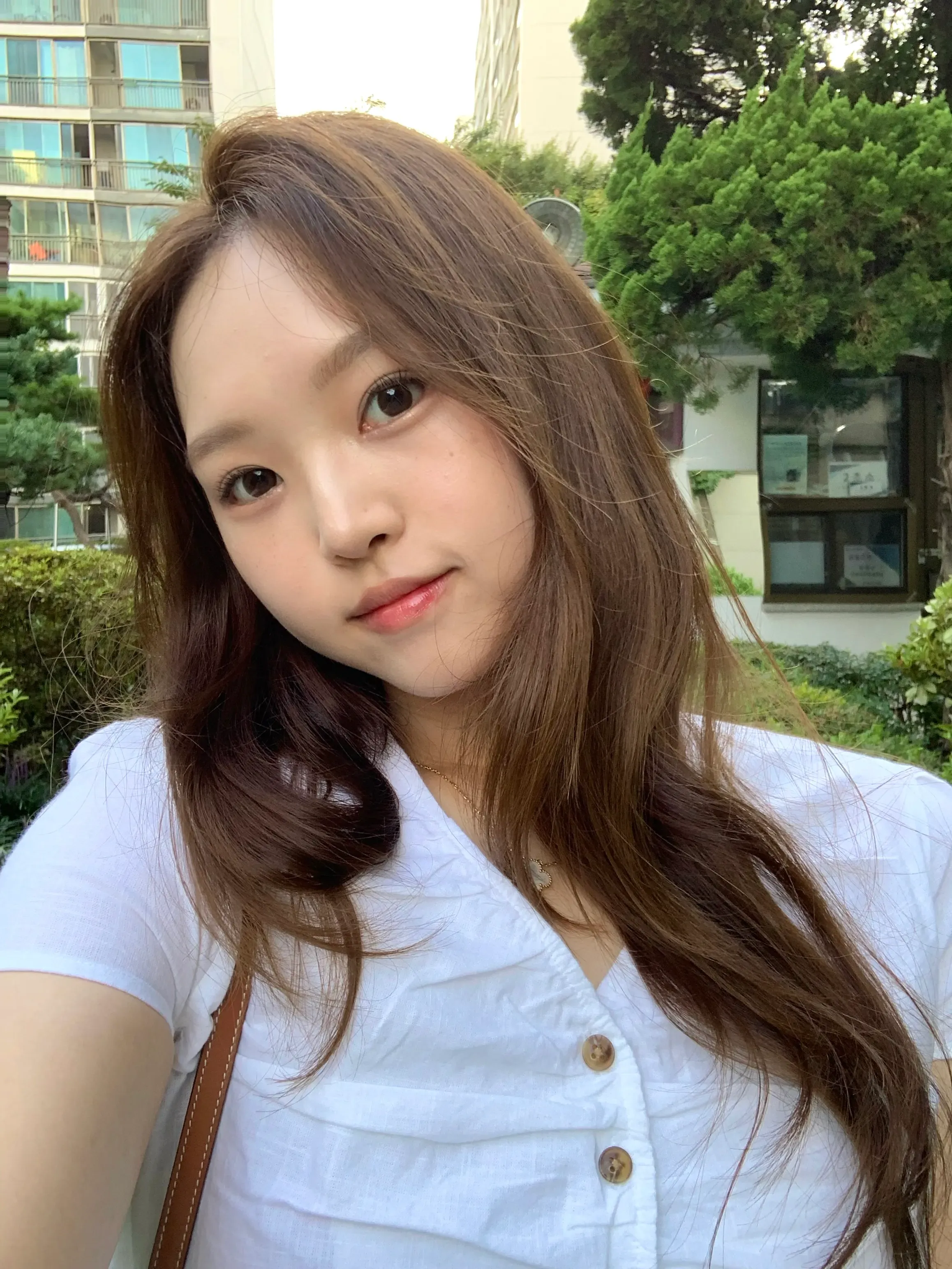 Ann-Marie Jung's' profile picture Ann-Marie Jung's' profile picture