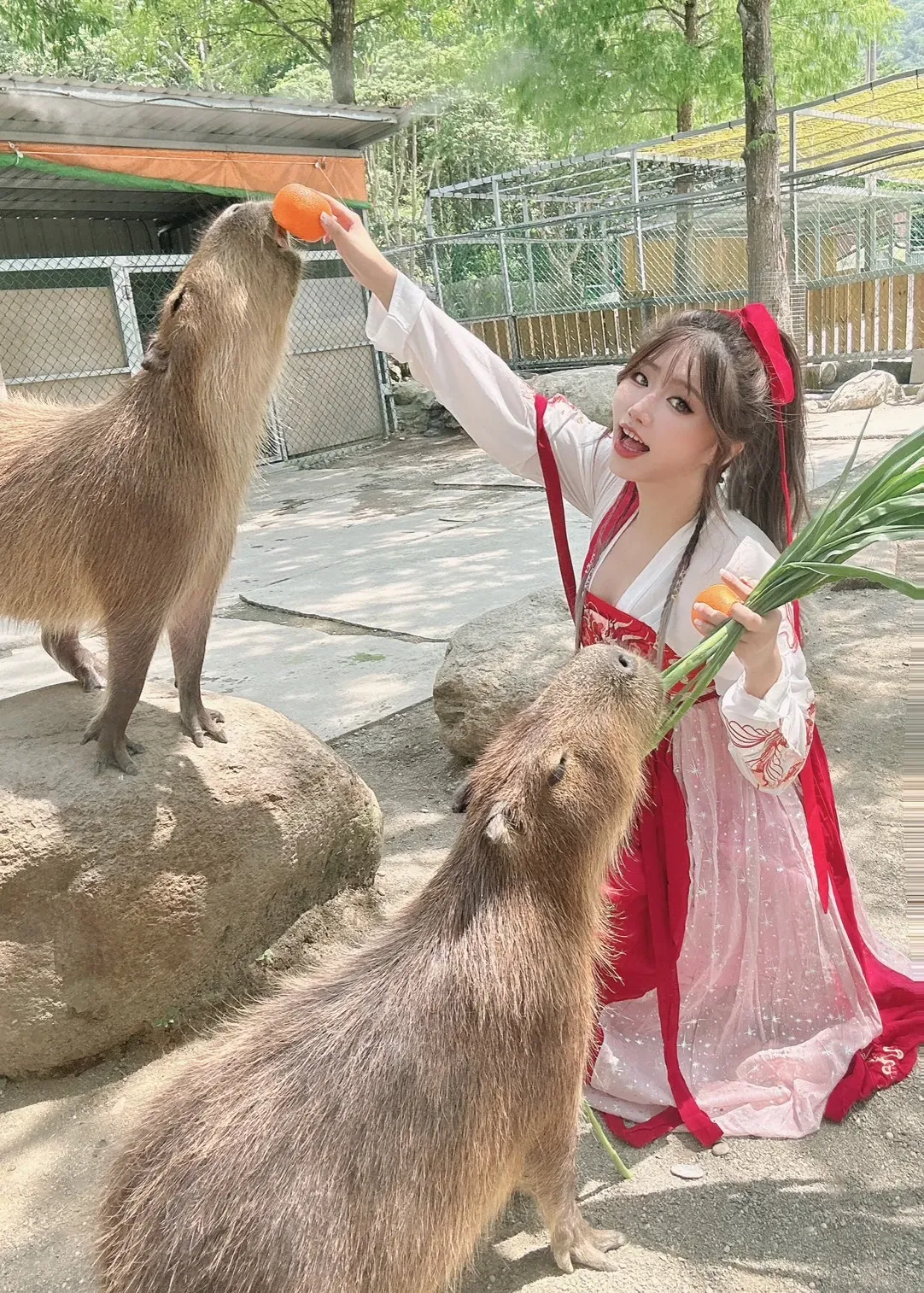 YU SYUAN CHEN's' profile picture