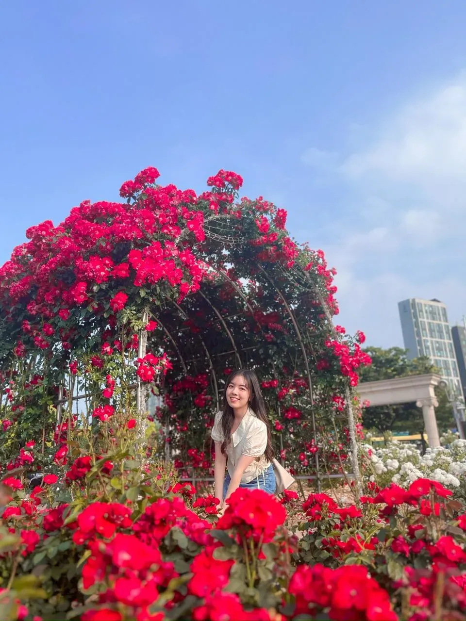 Callista Chrysilla's' profile picture