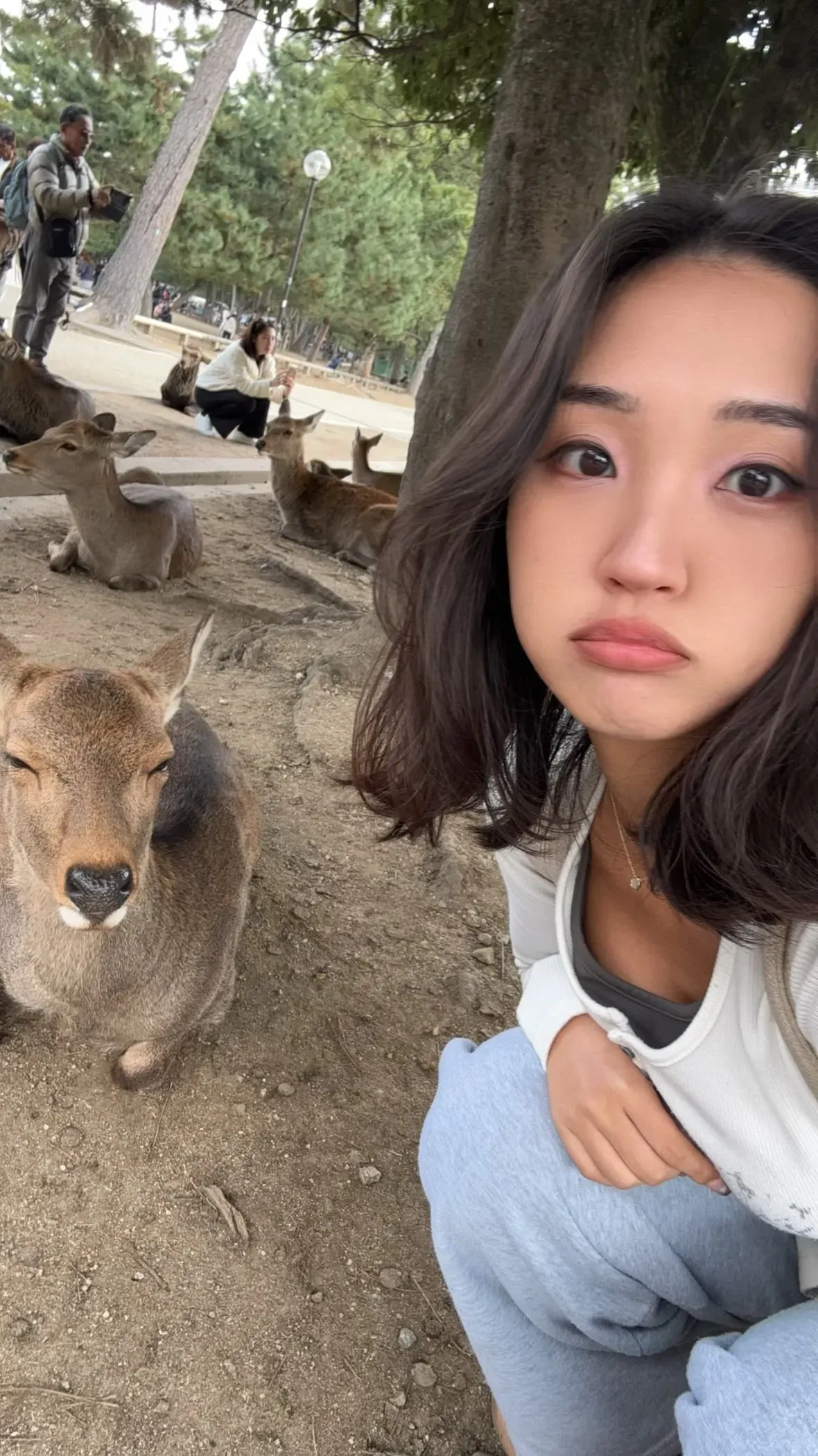 Yejin Choi's' profile picture Yejin Choi's' profile picture