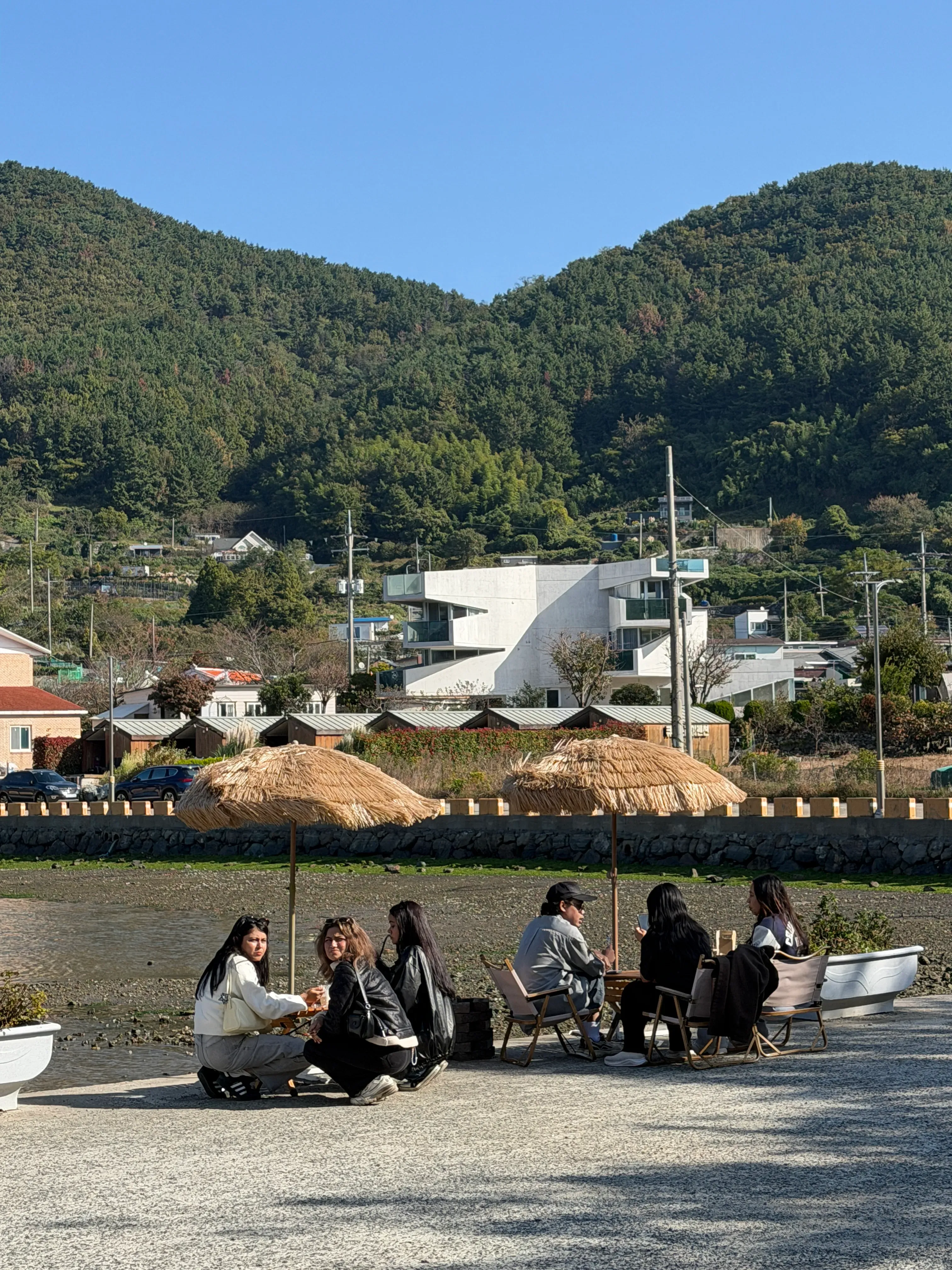 Vaishnavi Gupta's' profile picture