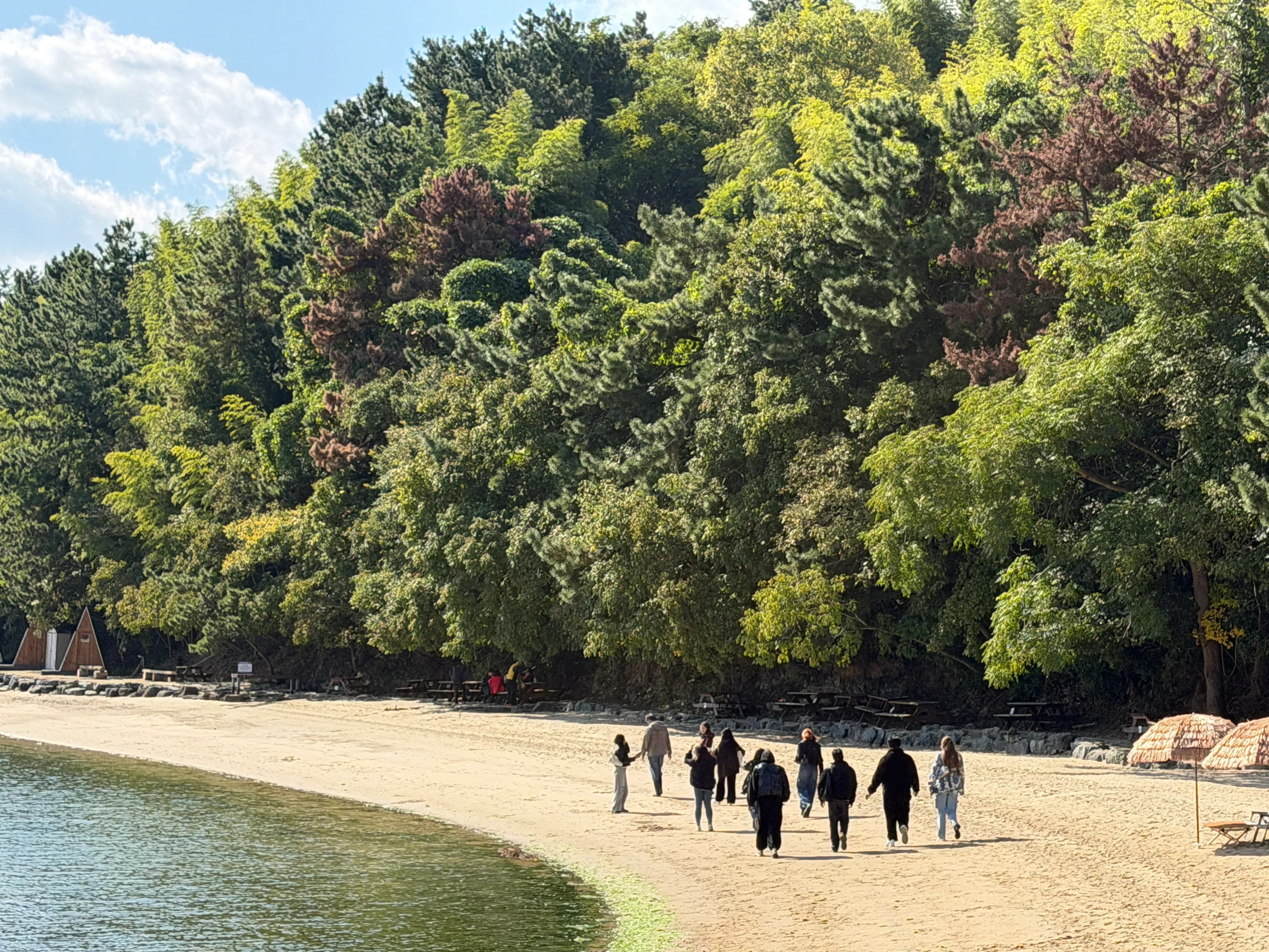 Vaishnavi Gupta's' profile picture