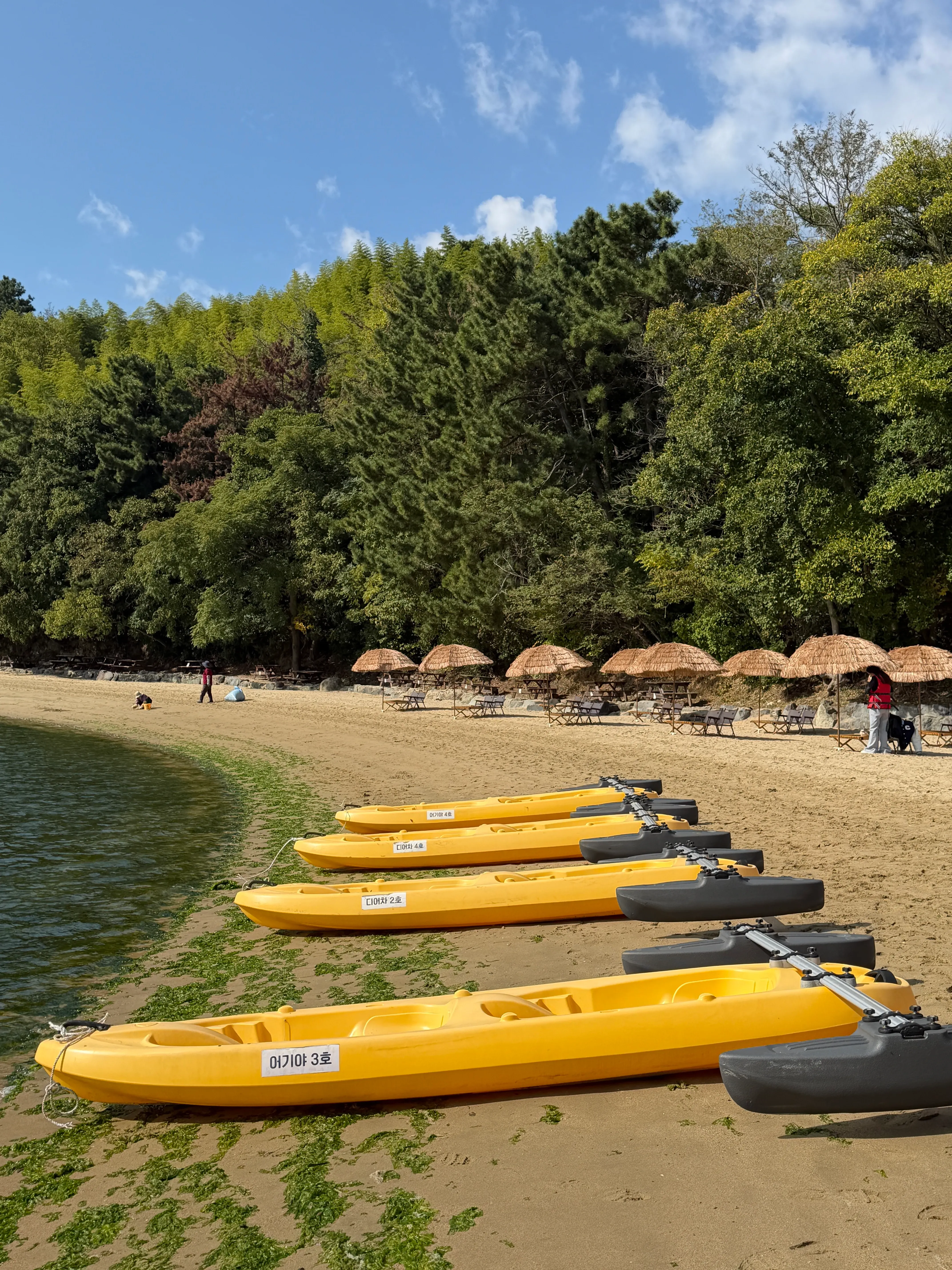 Vaishnavi Gupta's' profile picture