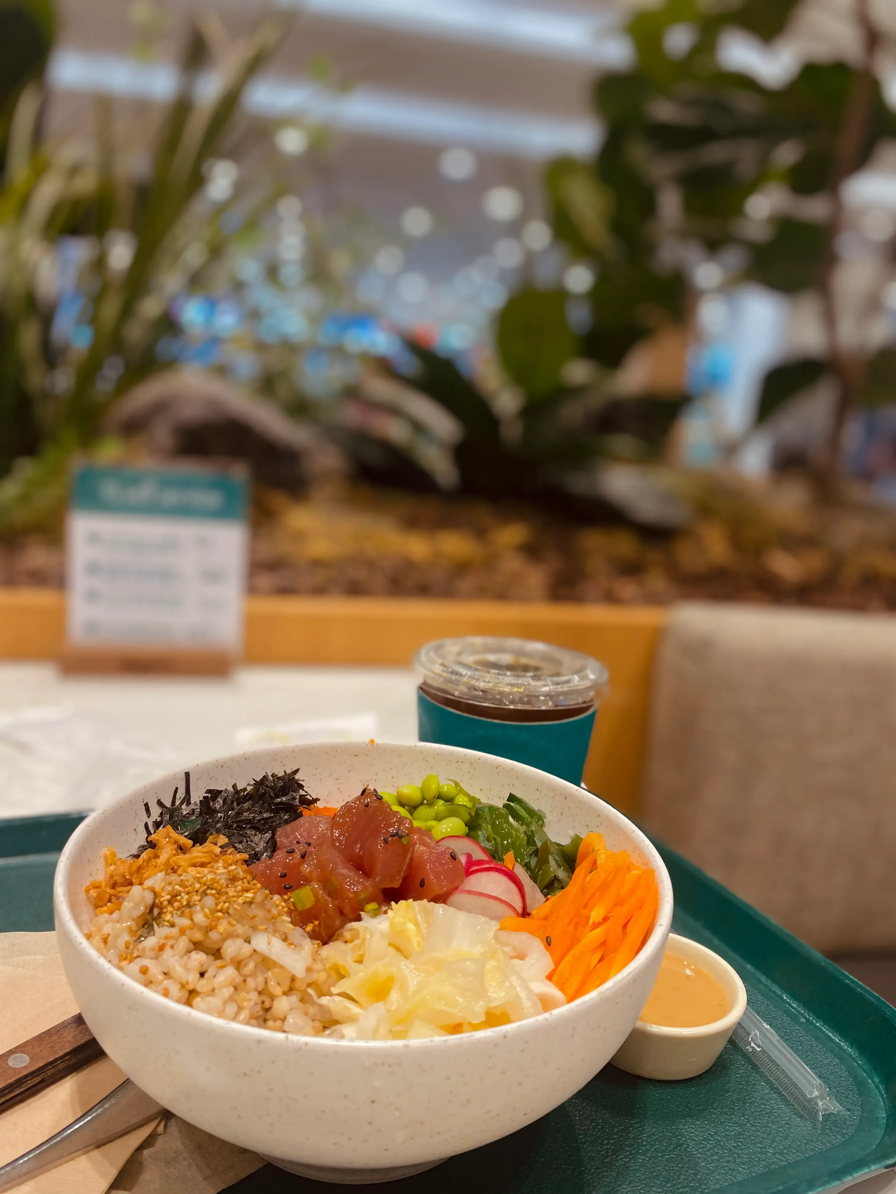 sakamoto reira's' profile picture