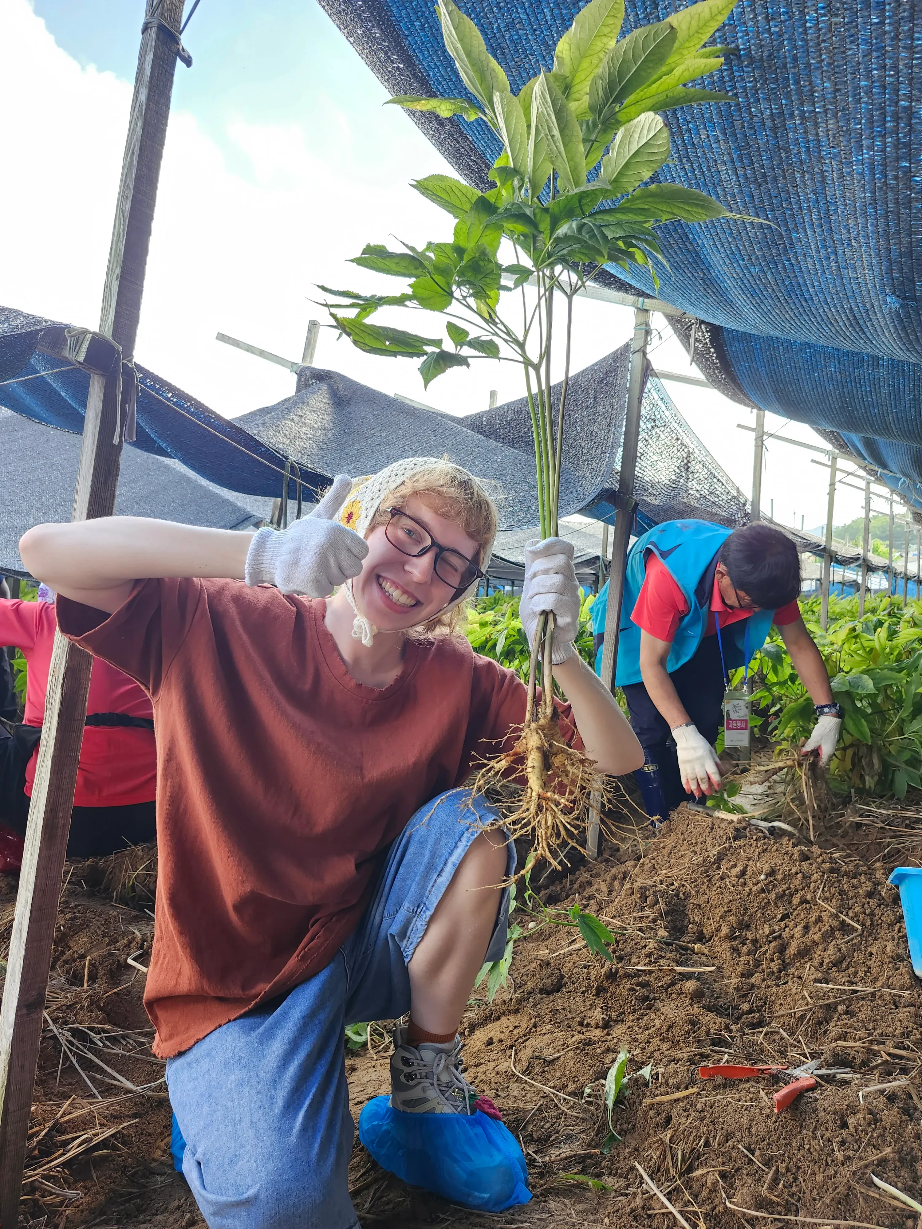 Kailiang's' profile picture