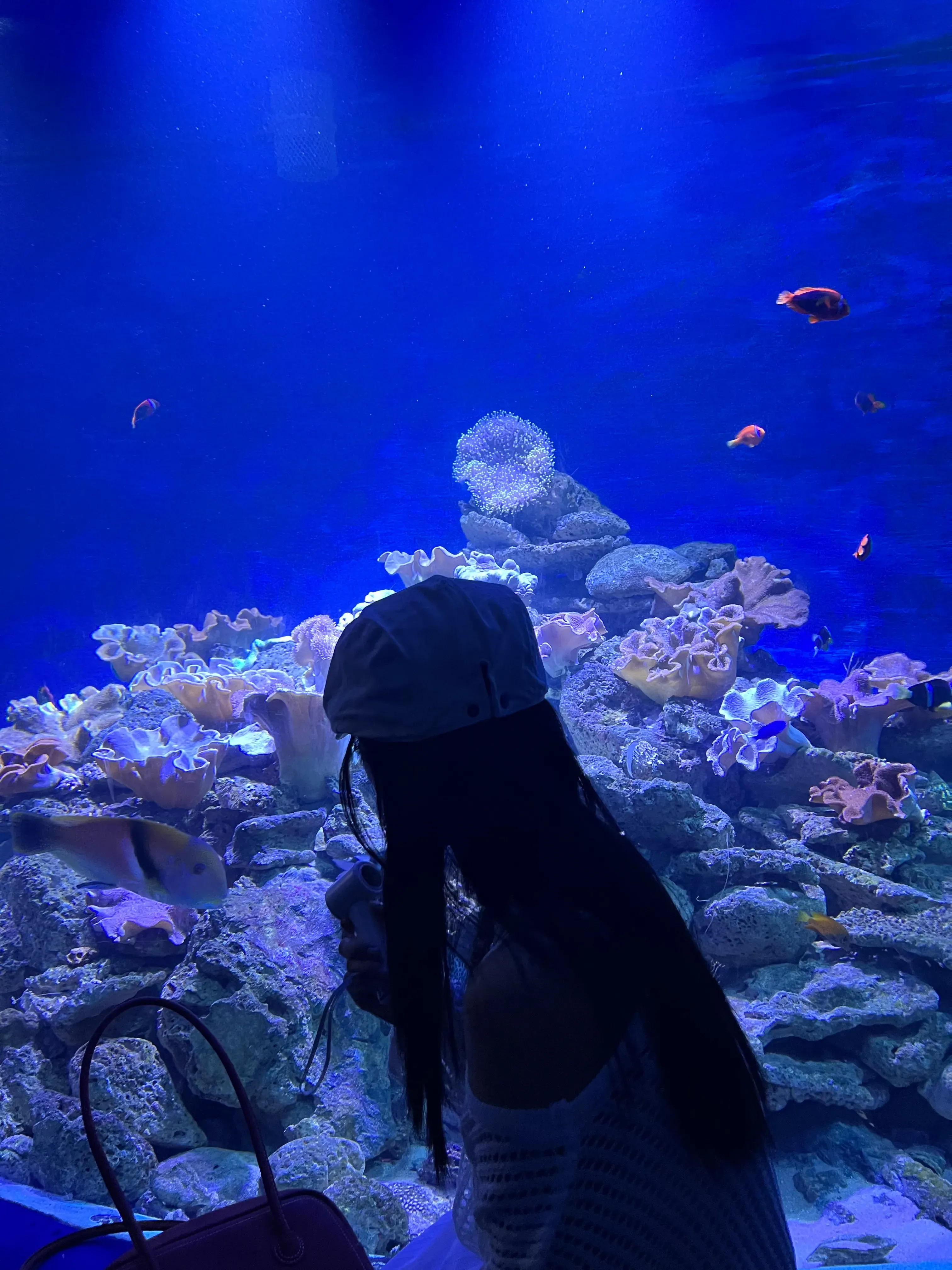 Truong Hoang Phuoc's' profile picture Truong Hoang Phuoc's' profile picture