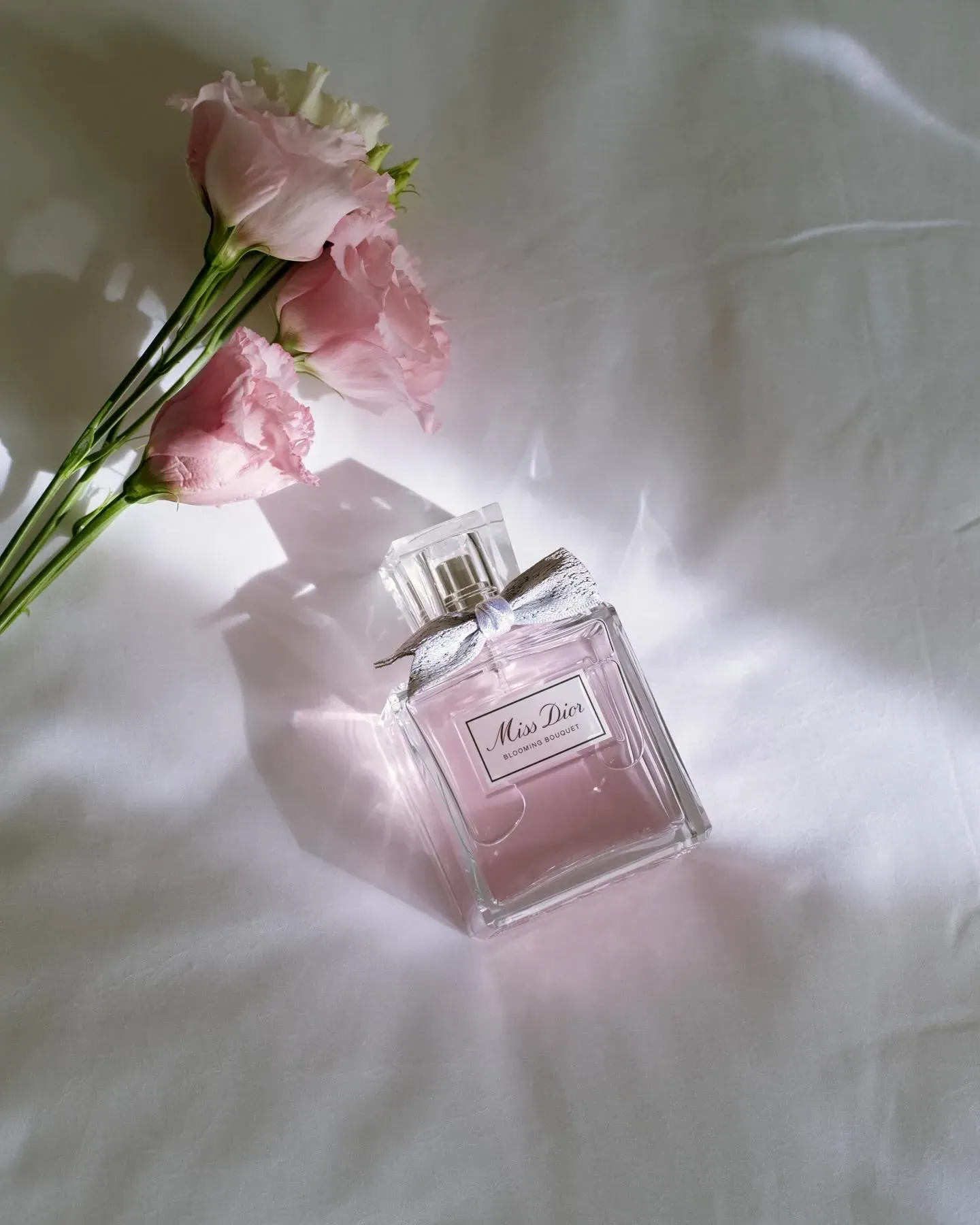 RONDY Celine's' profile picture