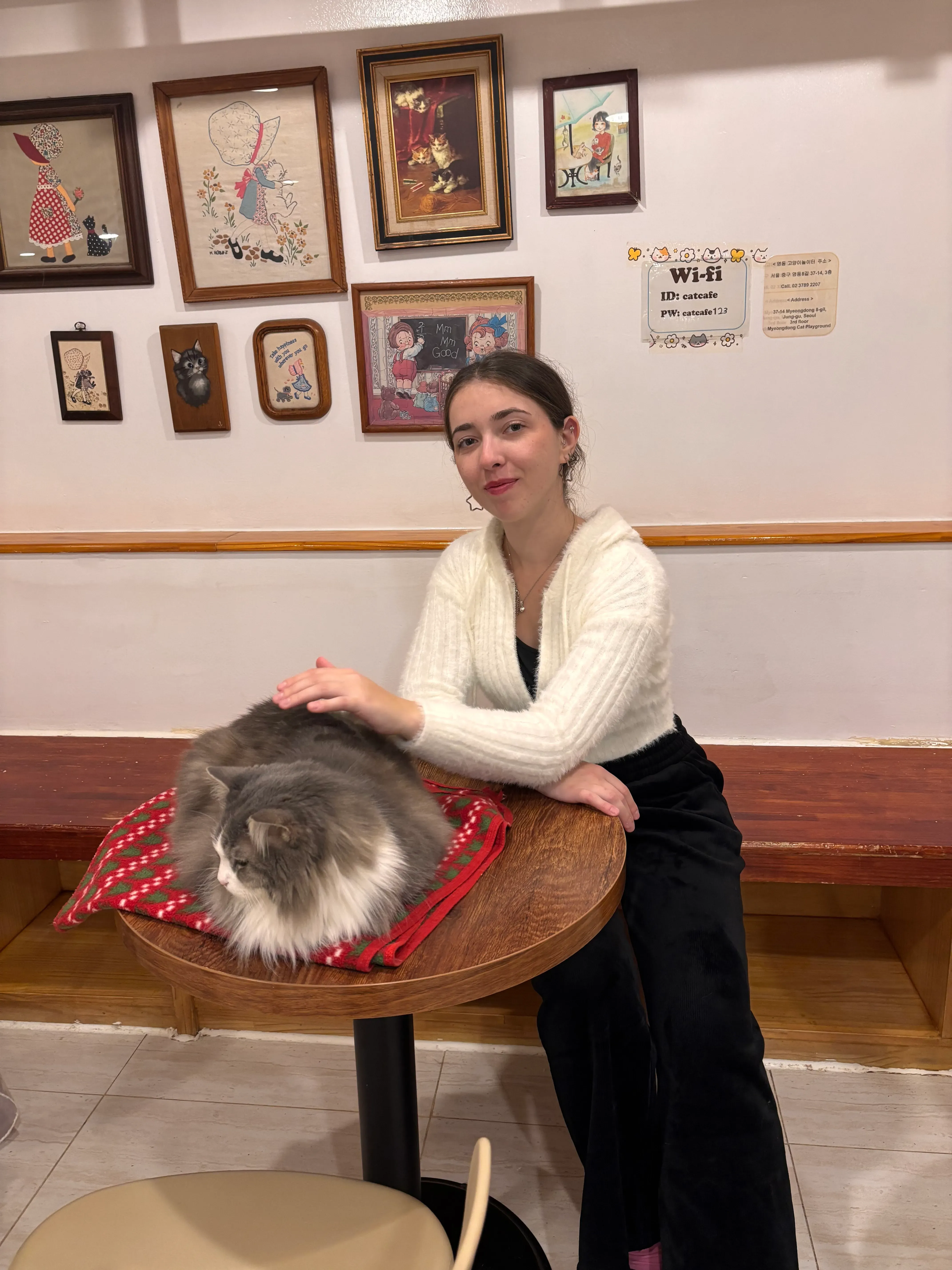 Ilay Kandemay's' profile picture