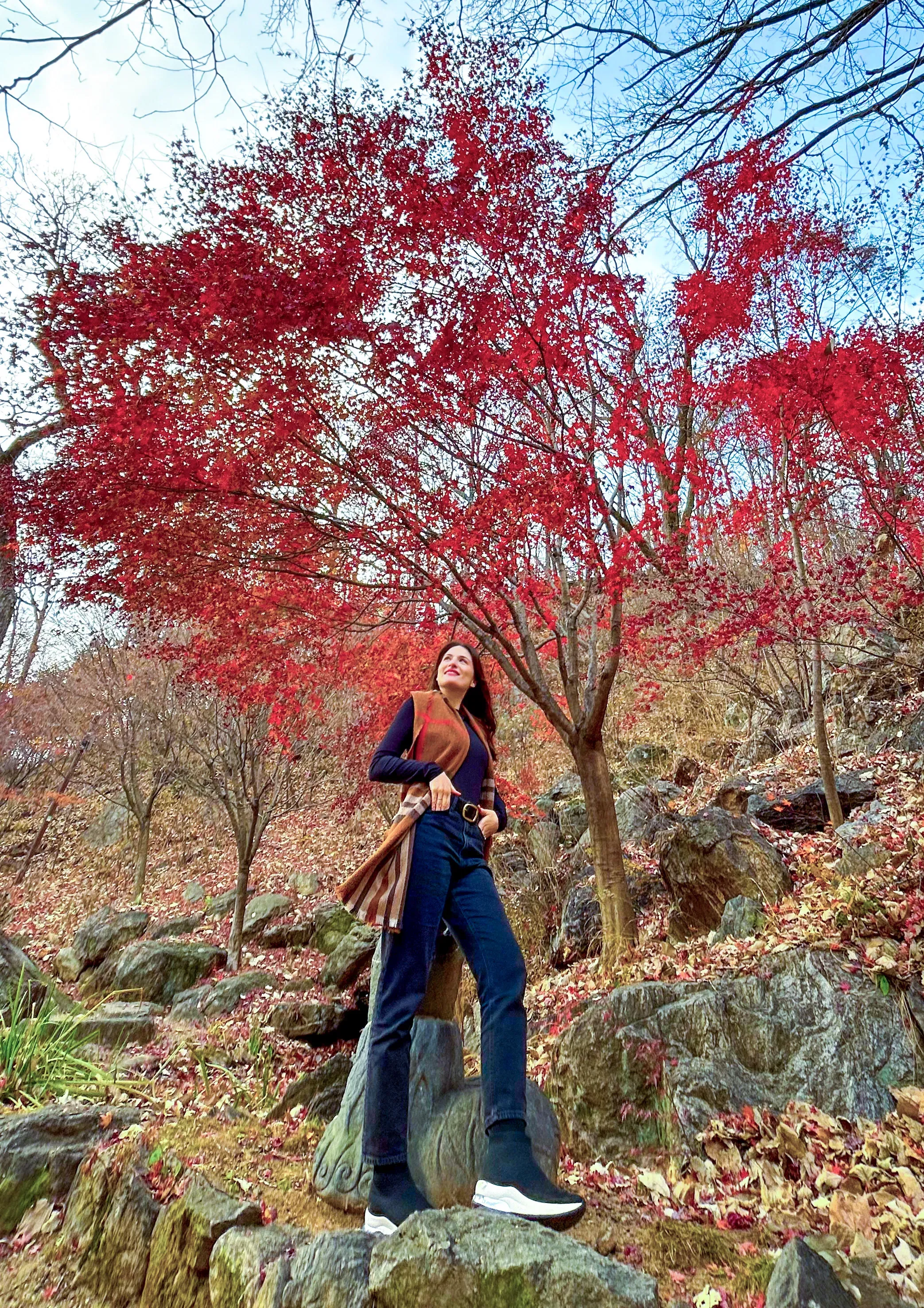 Laura Gomar's' profile picture