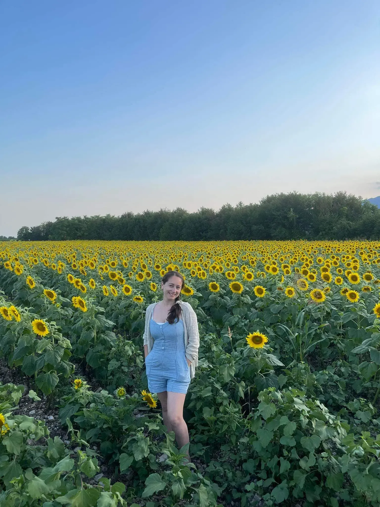 Leslie Cisternas's' profile picture