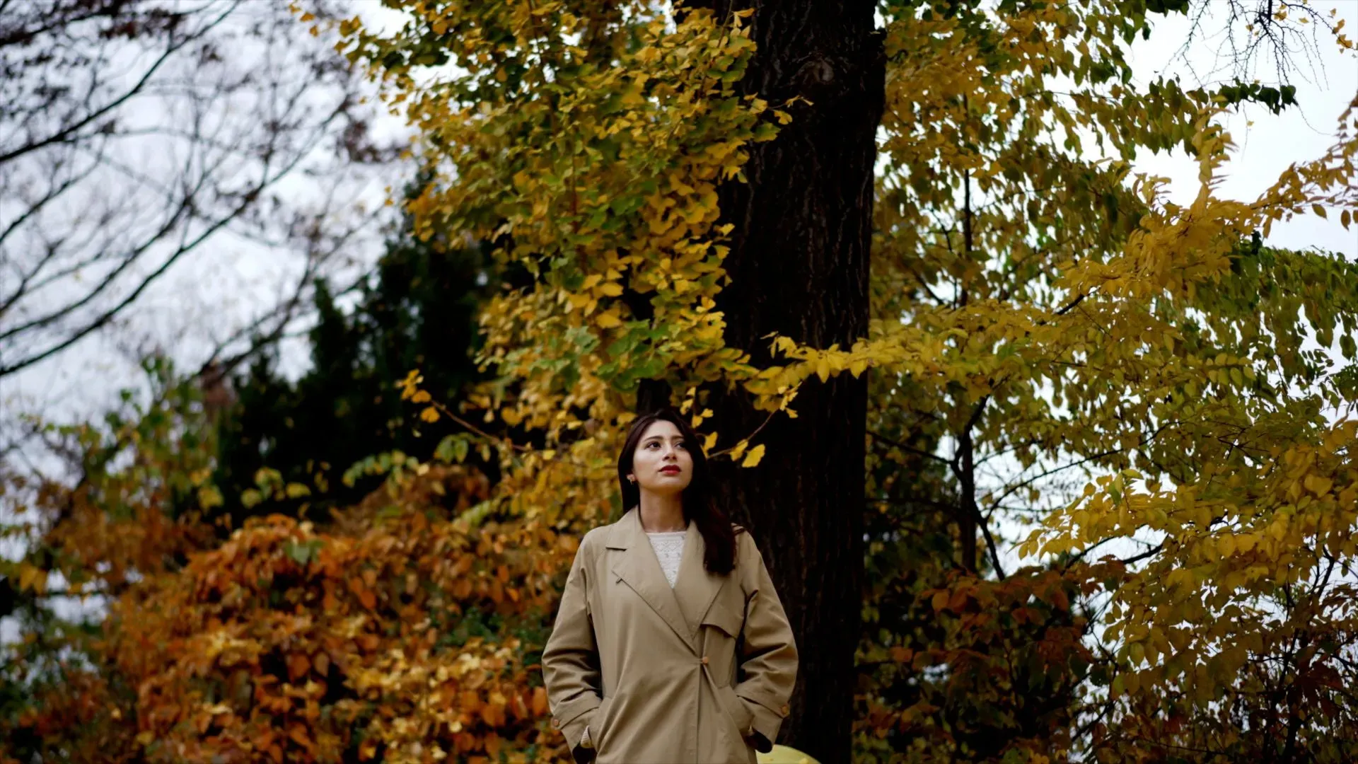 mariela_korea's' profile picture mariela_korea's' profile picture