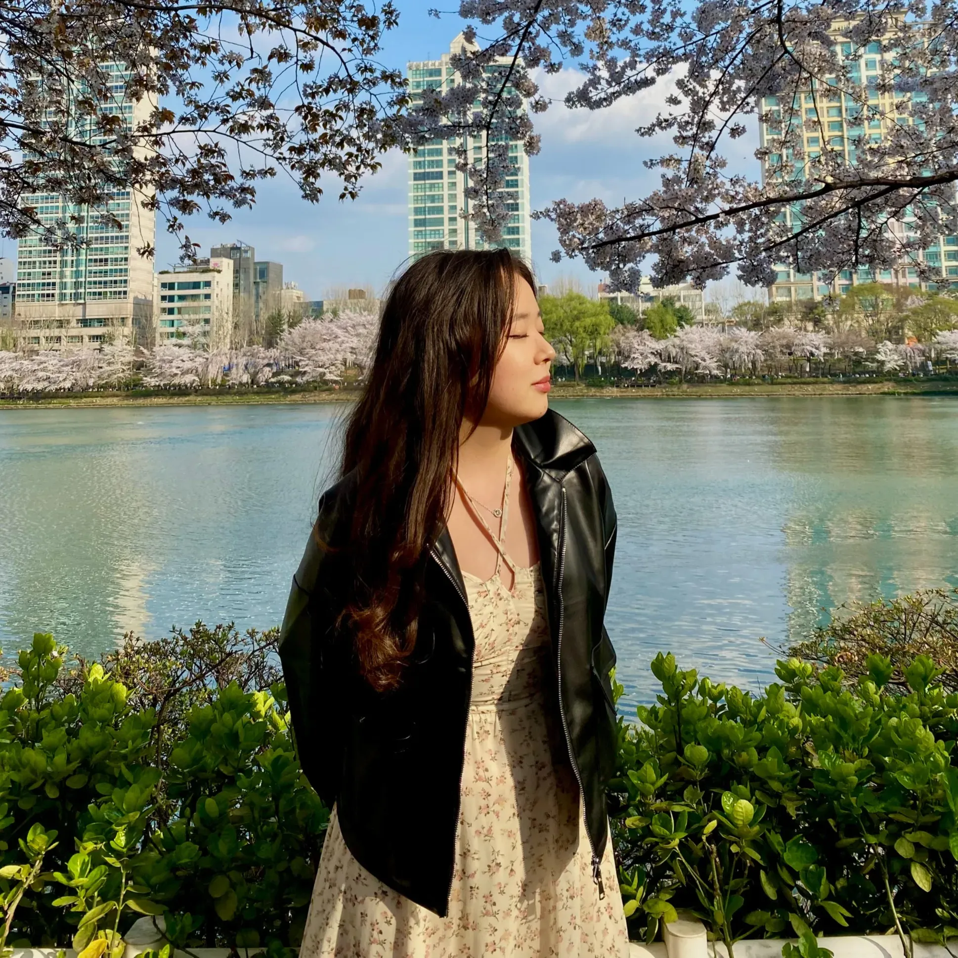Mirai's' profile picture