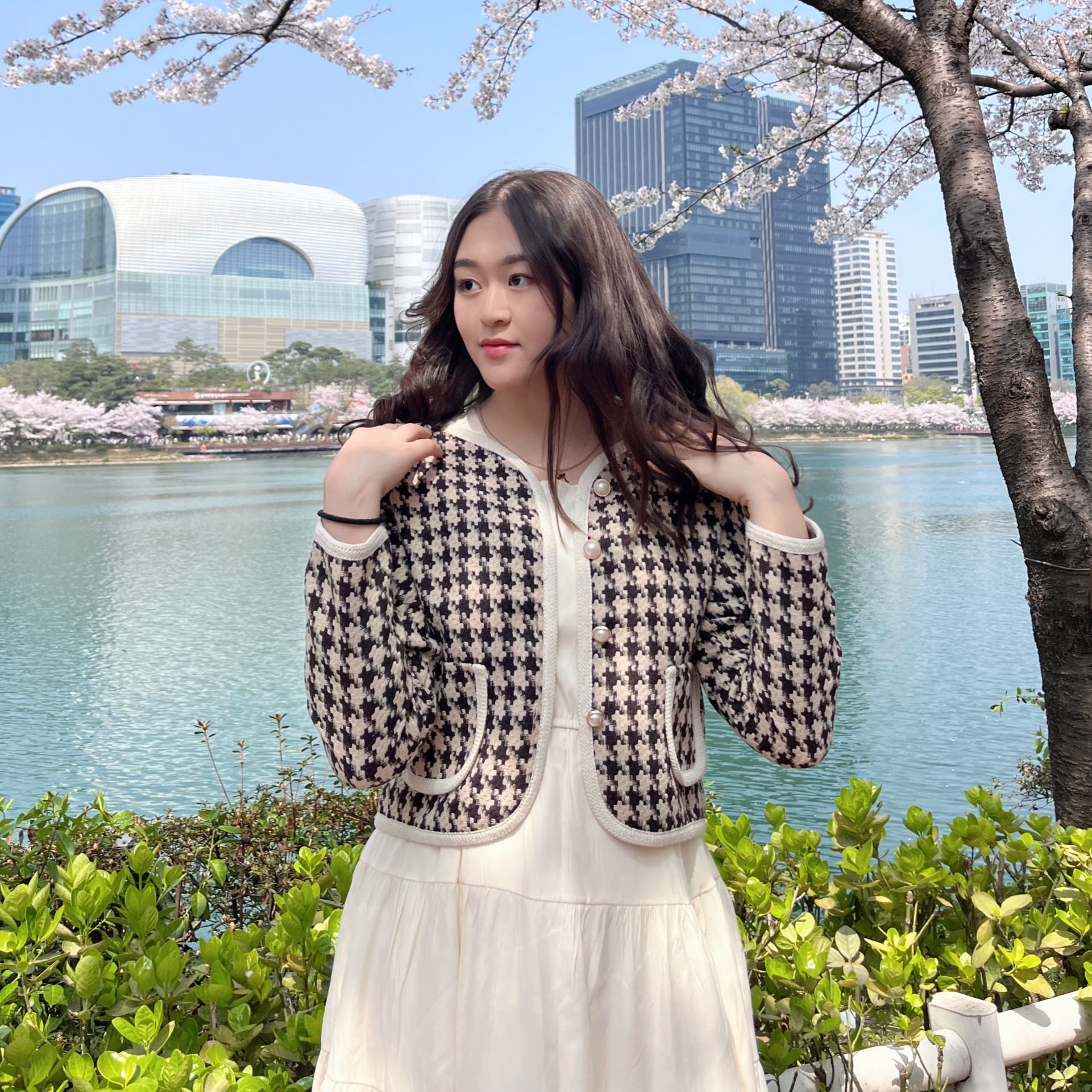 Miso's' profile picture