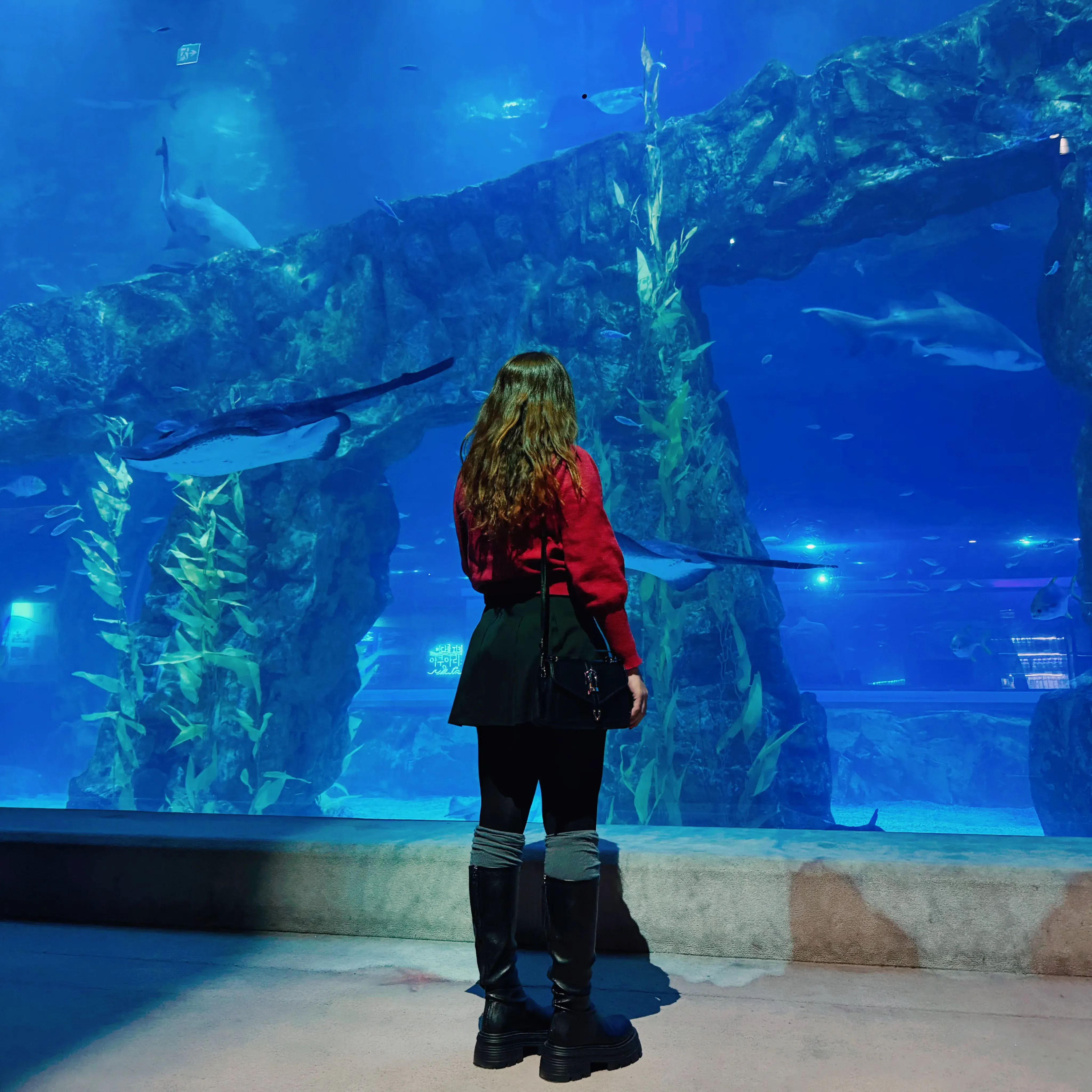 Monica Perez Garcia's' profile picture