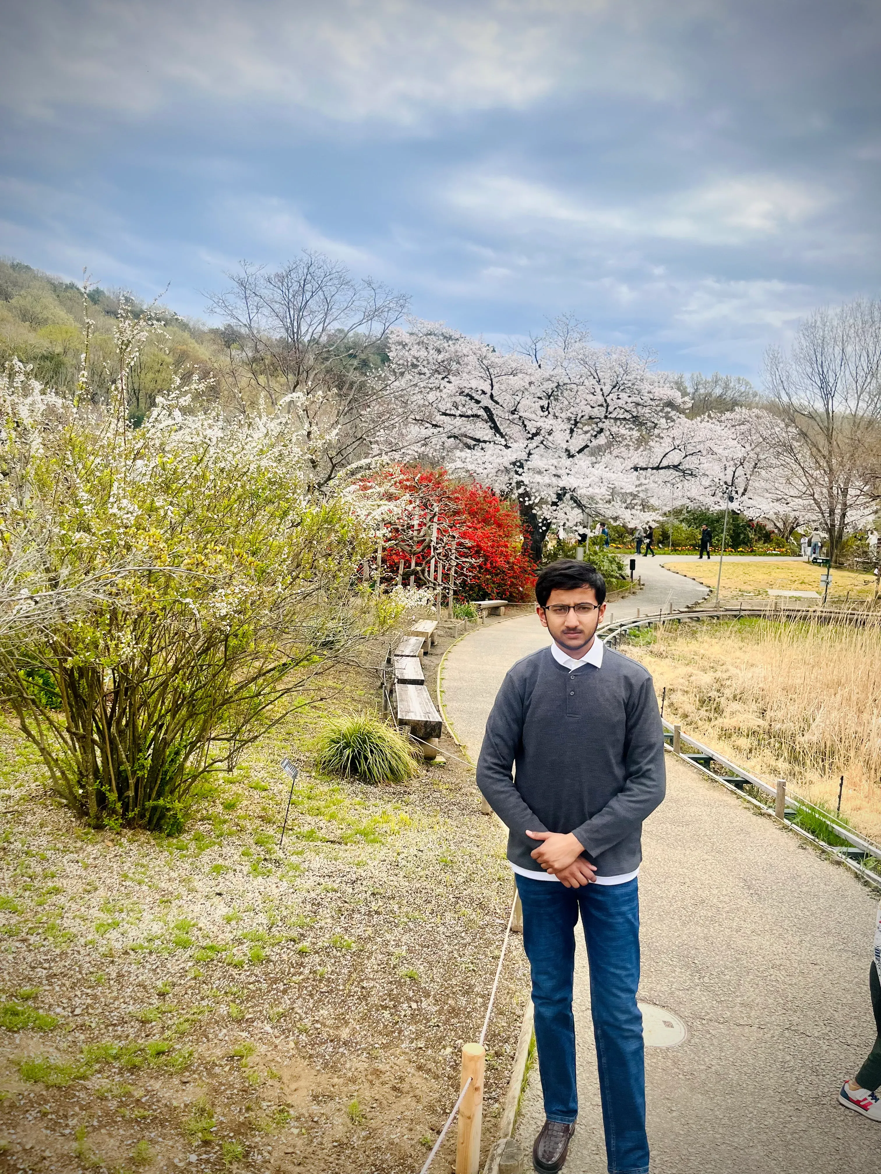 Ahmed Mujtaba's' profile picture