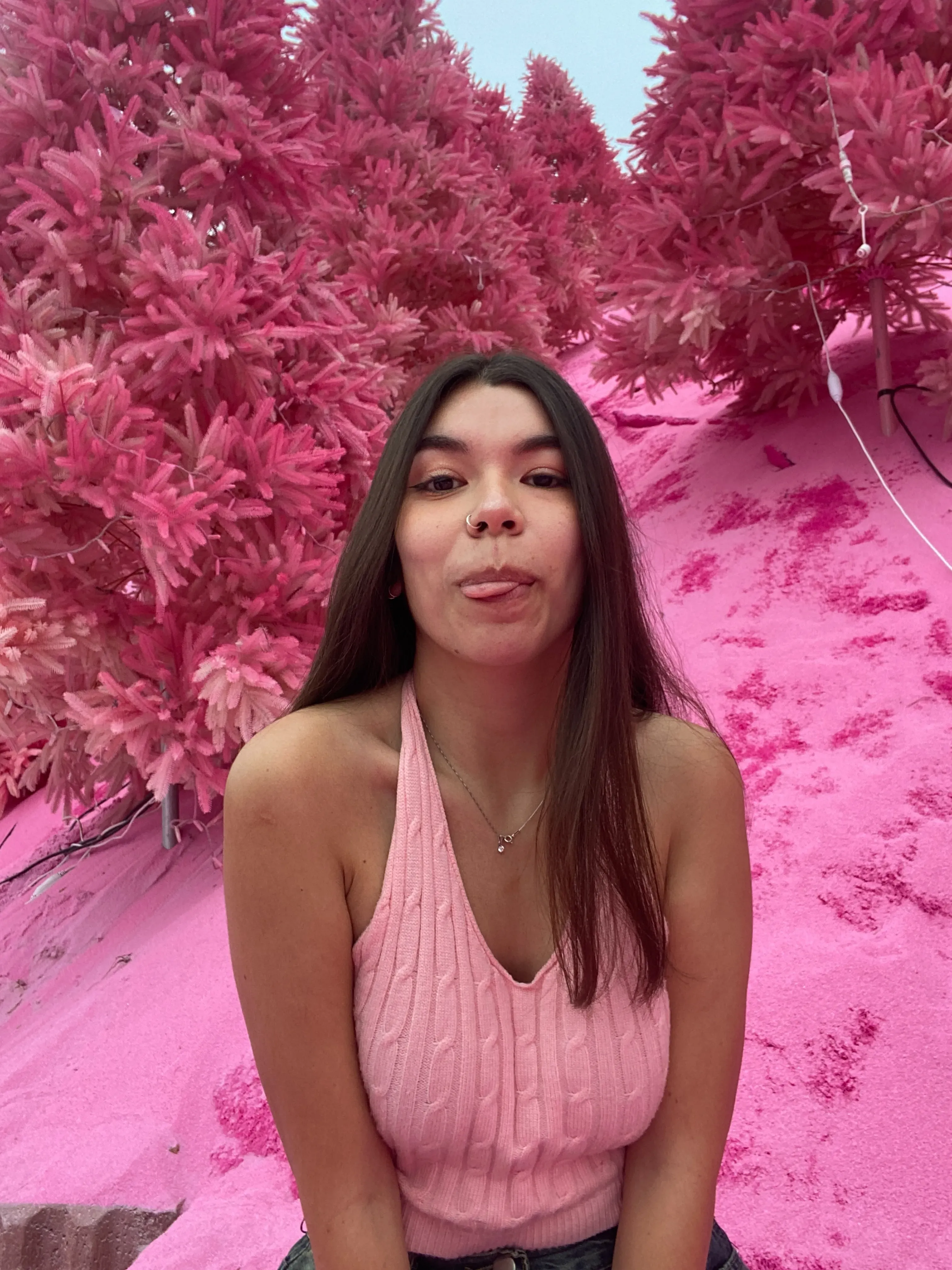 Paula Donoso's' profile pictures