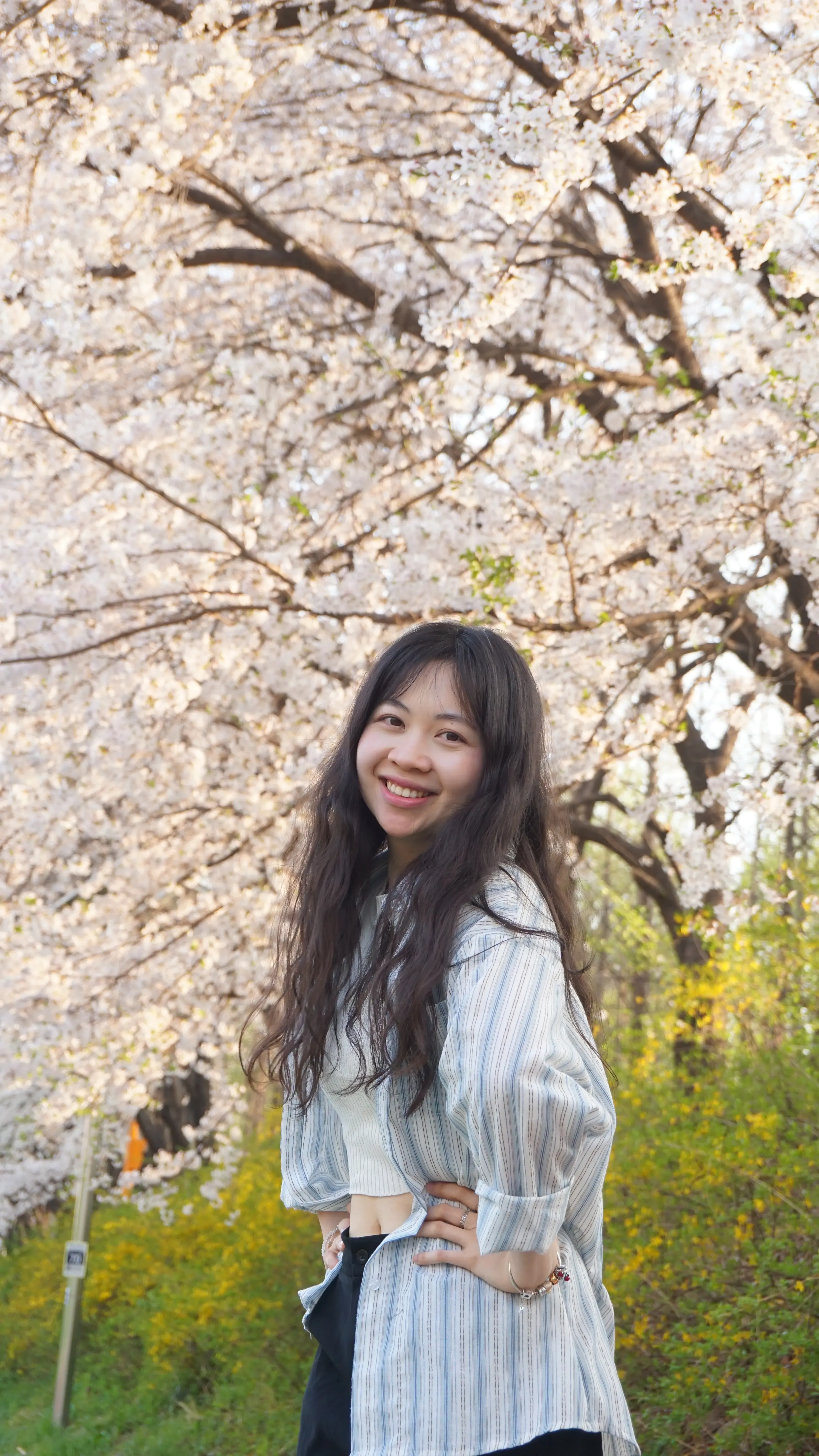 Phụng Trân's' profile picture Phụng Trân's' profile picture