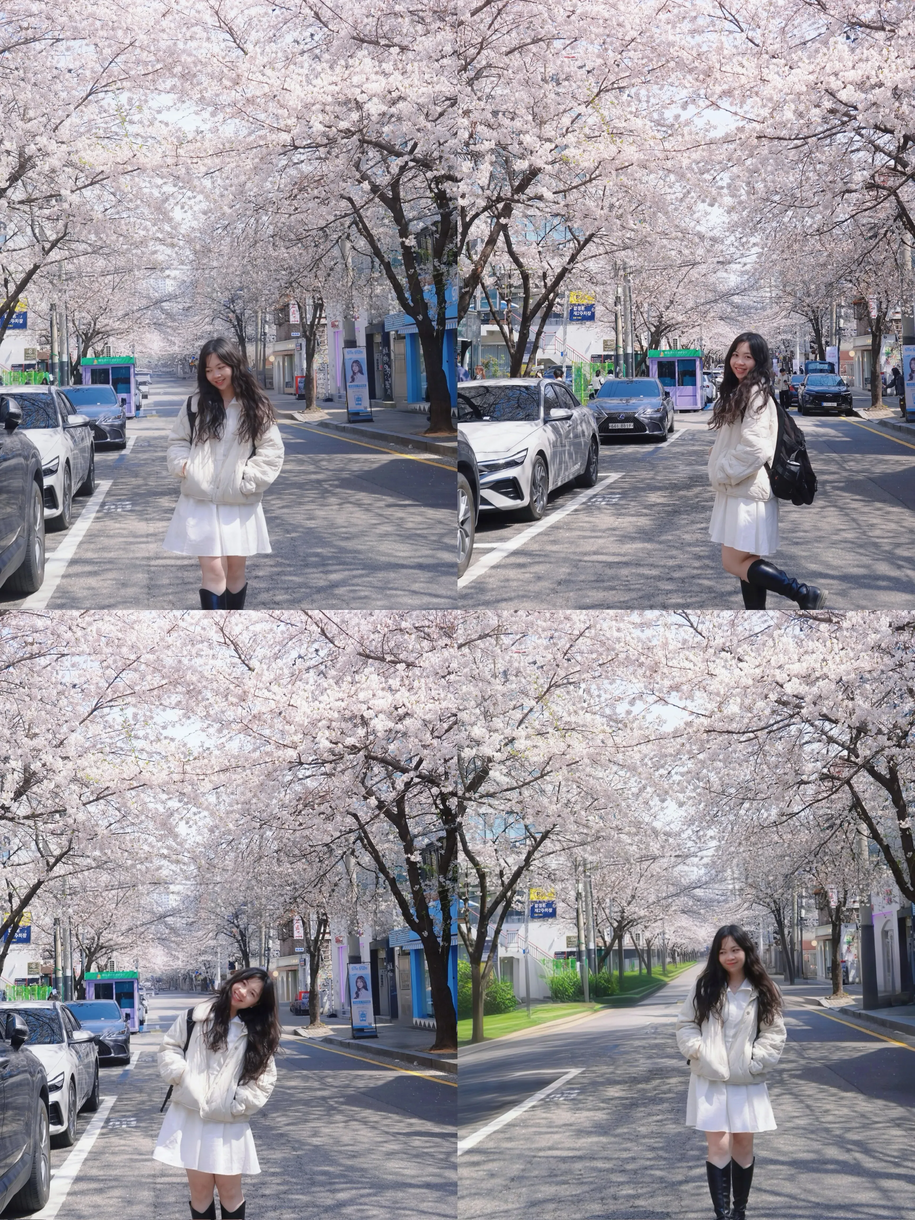 Phụng Trân's' profile picture Phụng Trân's' profile picture