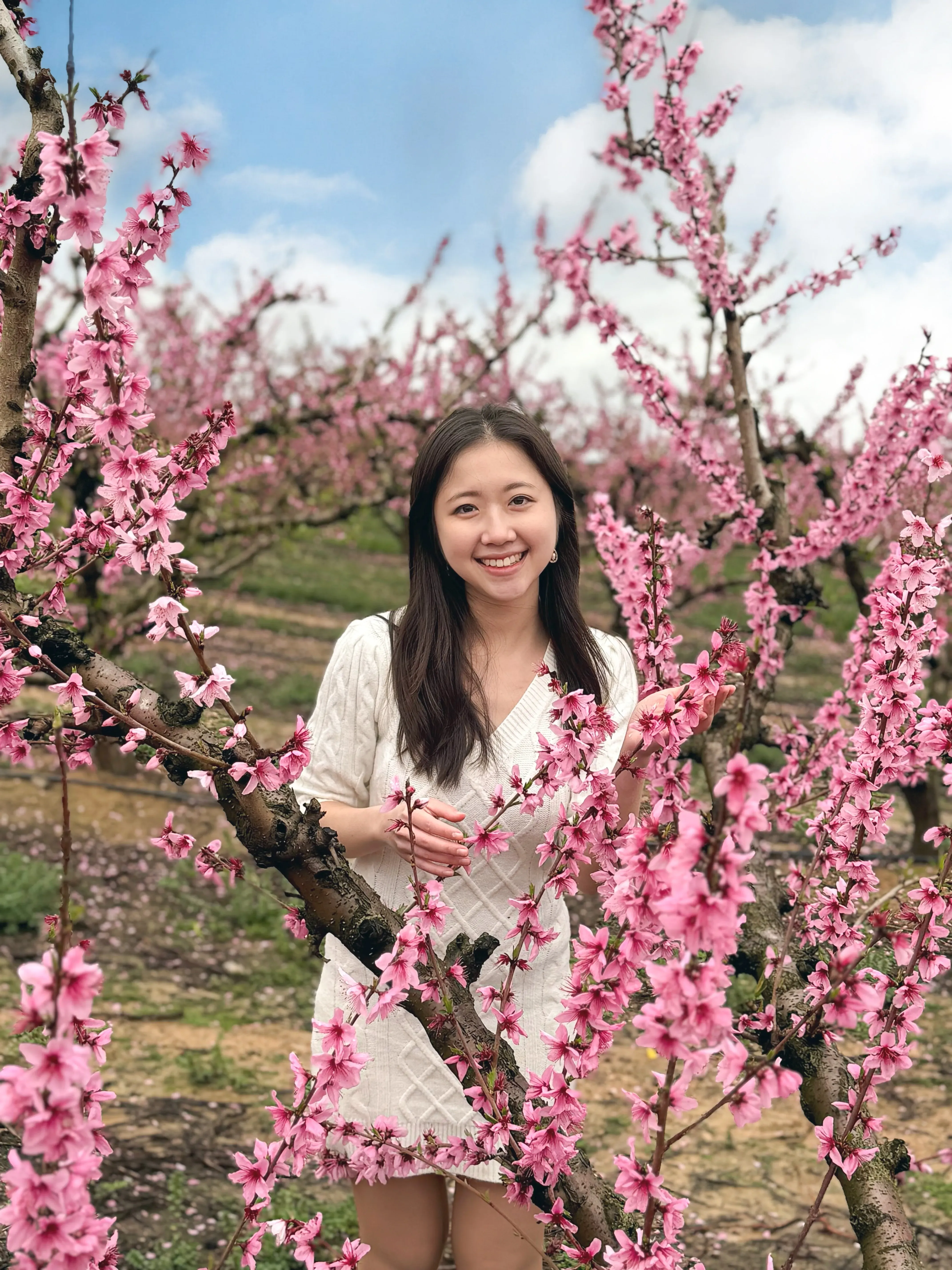 Pearl's' profile picture