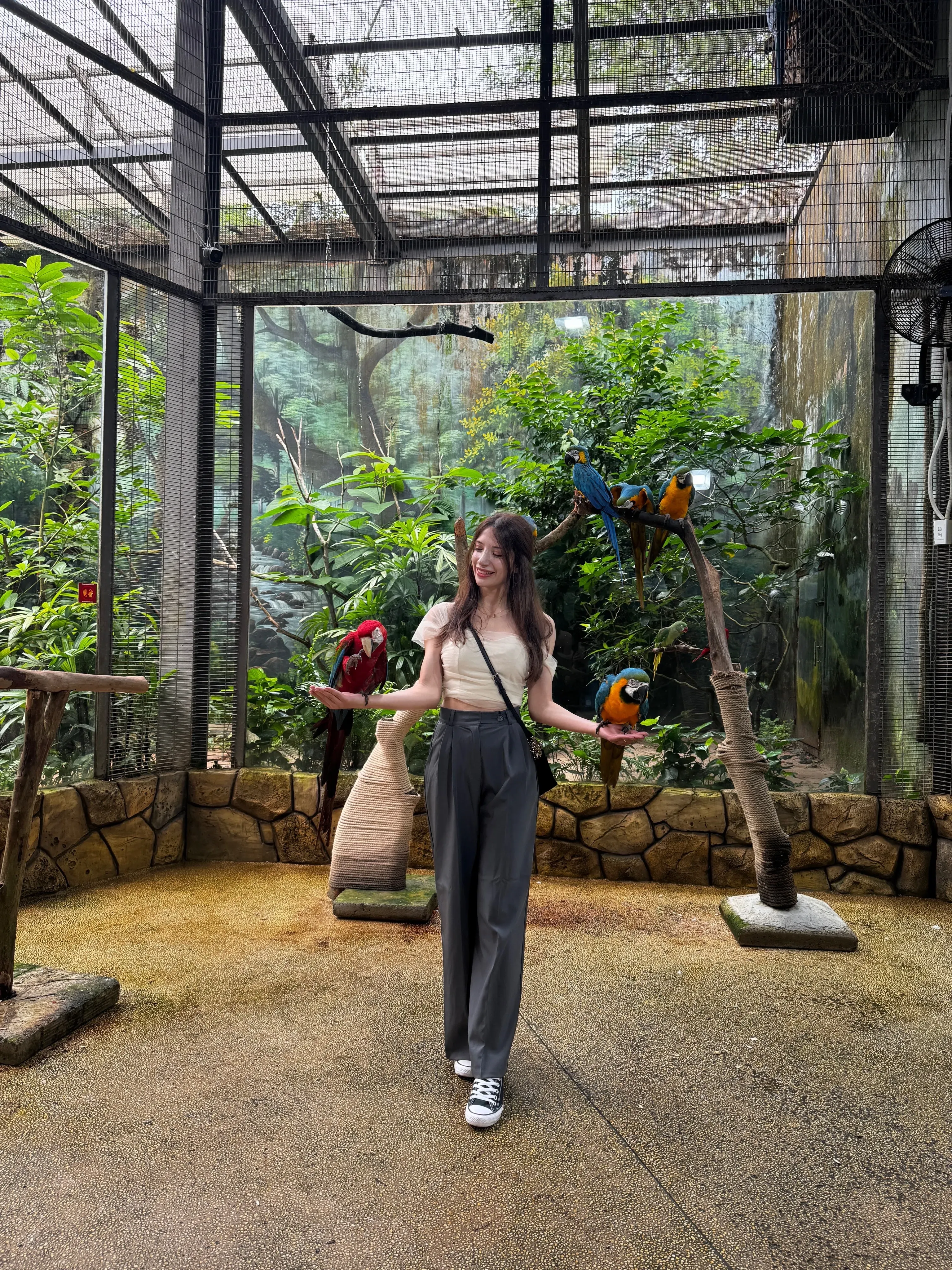 Simge Lee's' profile picture Simge Lee's' profile picture