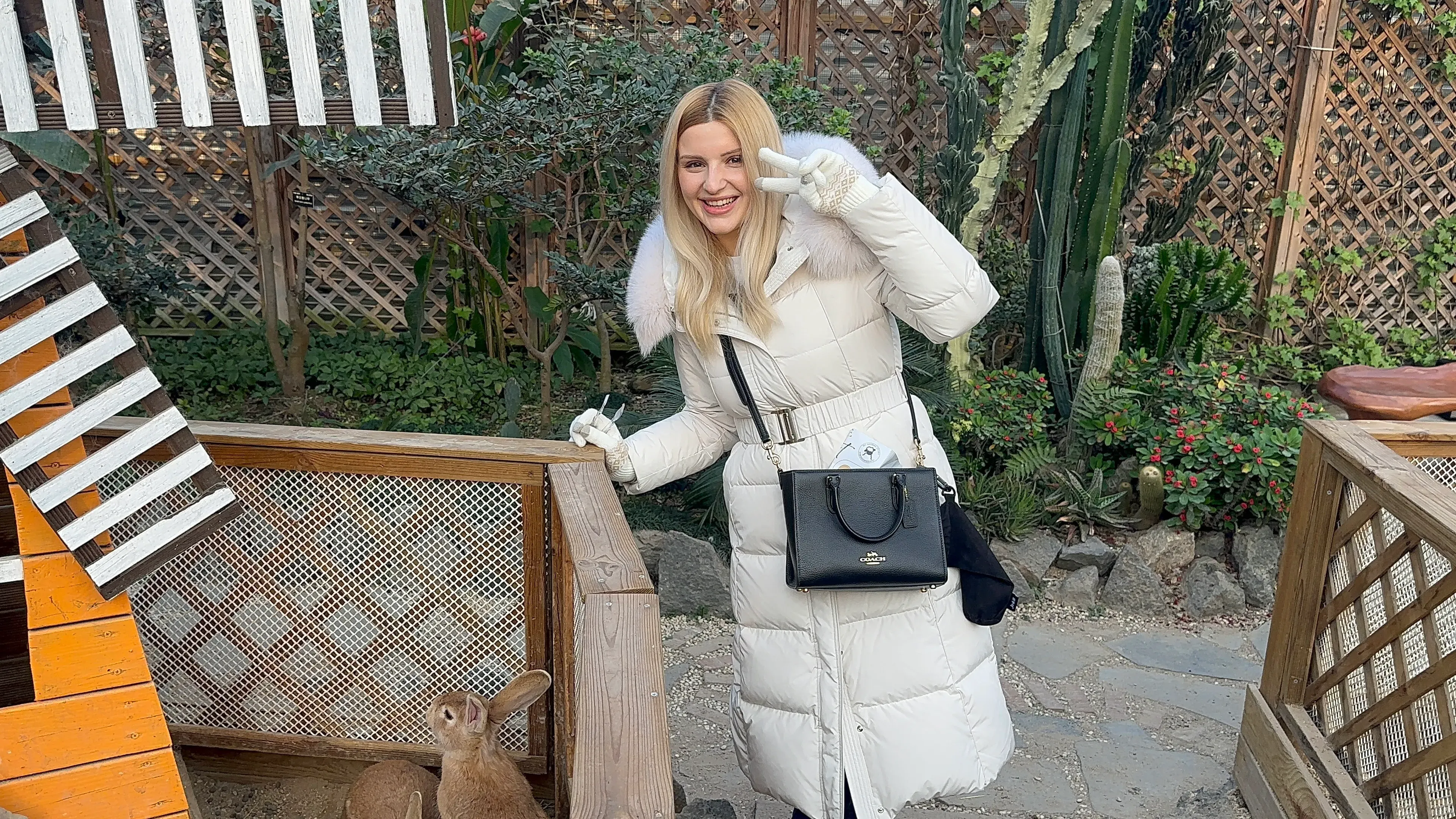 Sude Cho's' profile picture Sude Cho's' profile picture