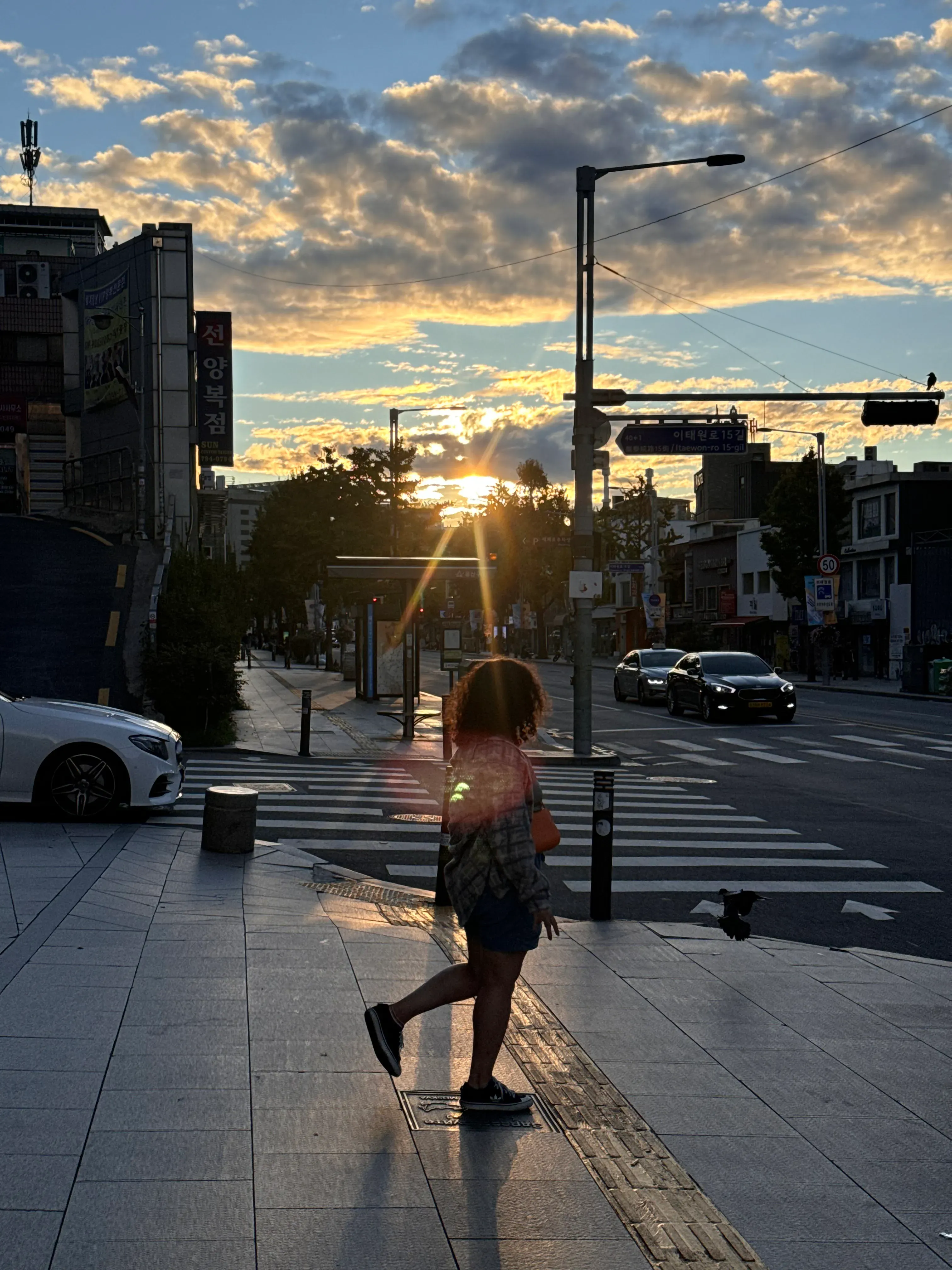 Rose K's' profile picture