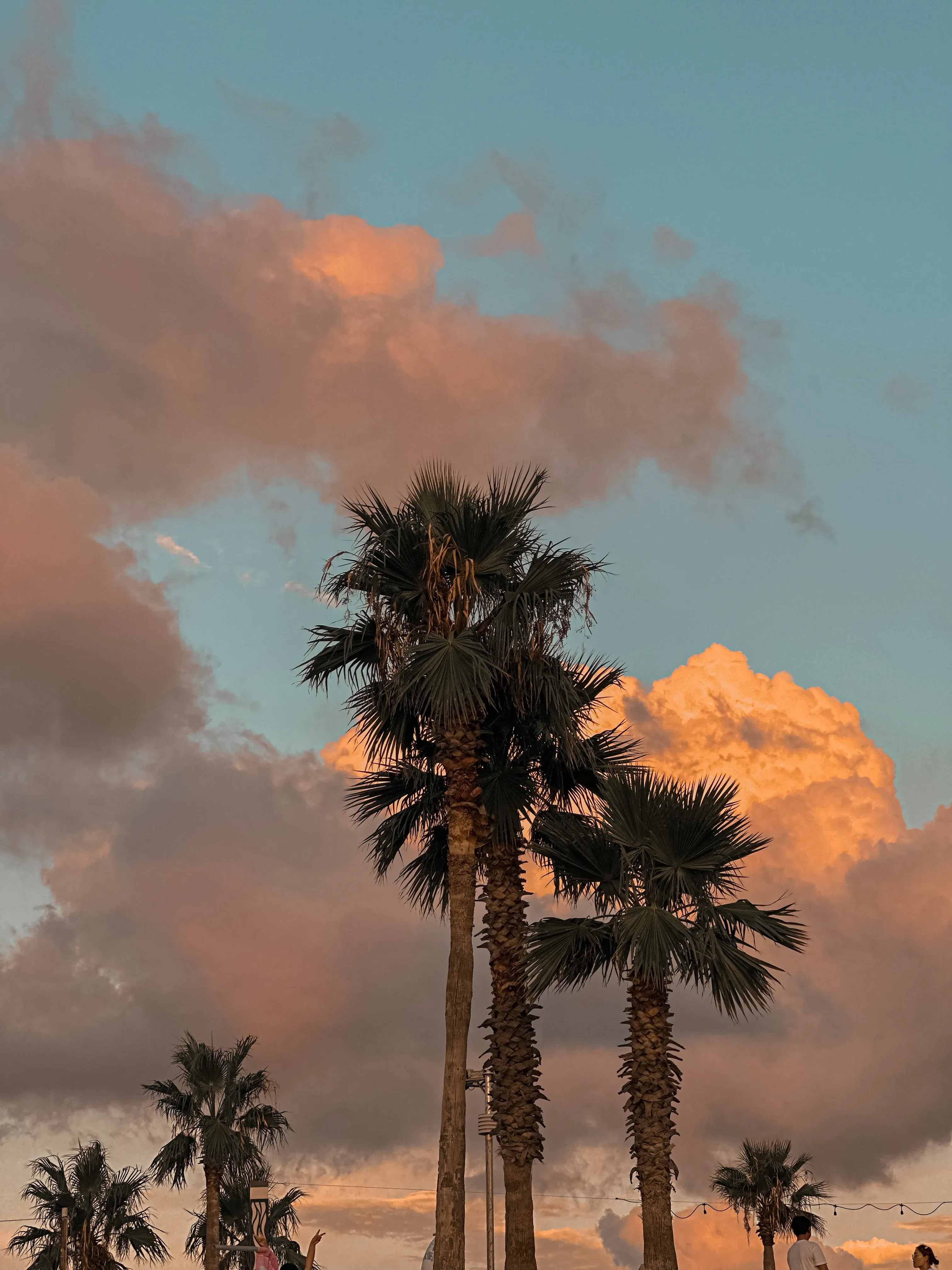 Test Tester's' profile picture