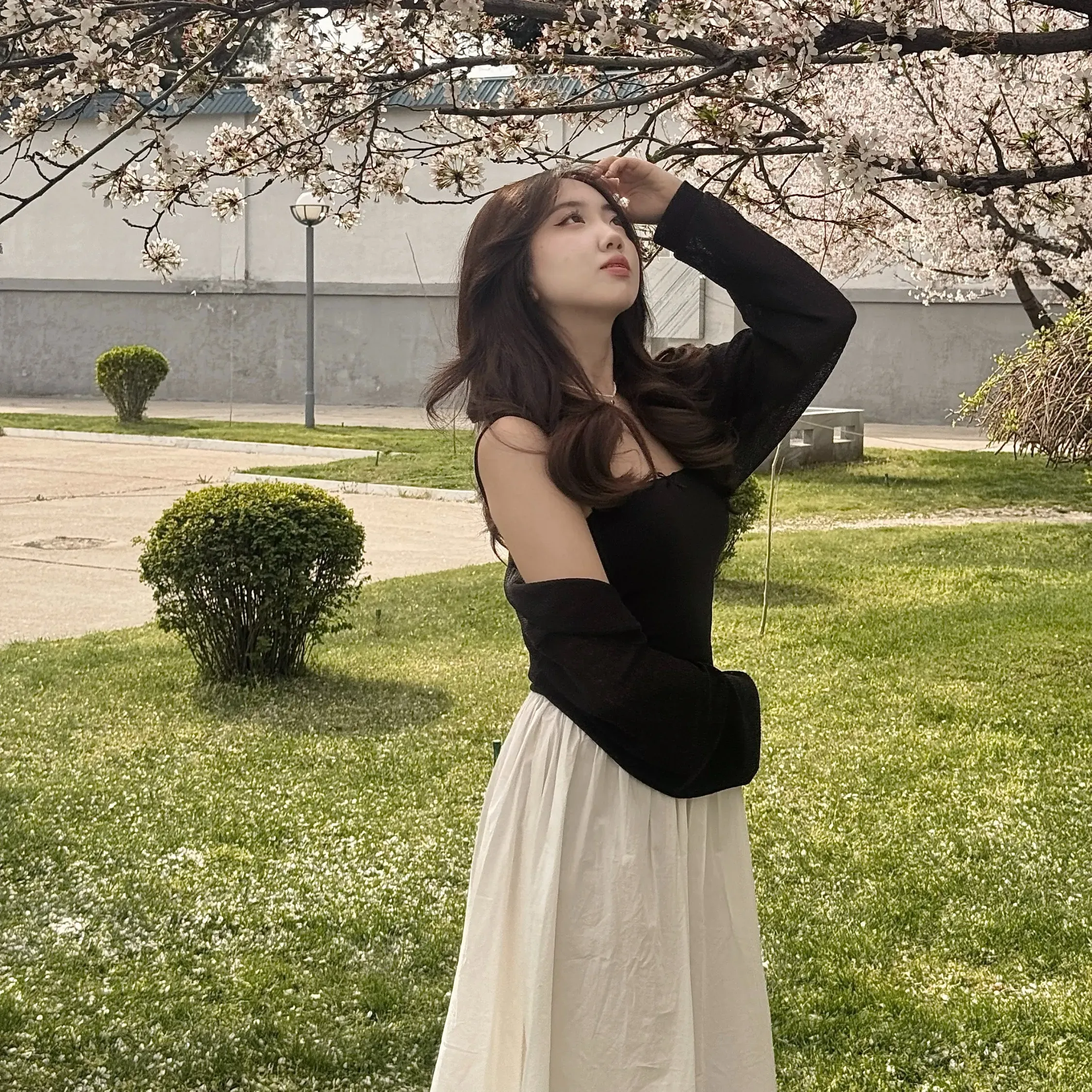 Kseniya's' profile picture