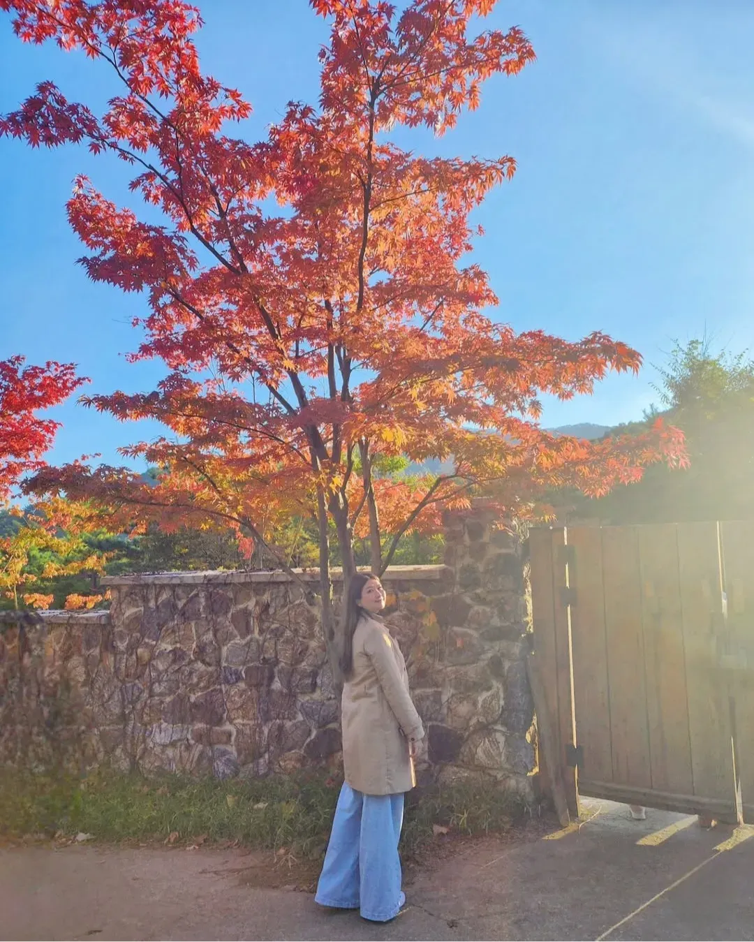 Eva Seto's' profile picture