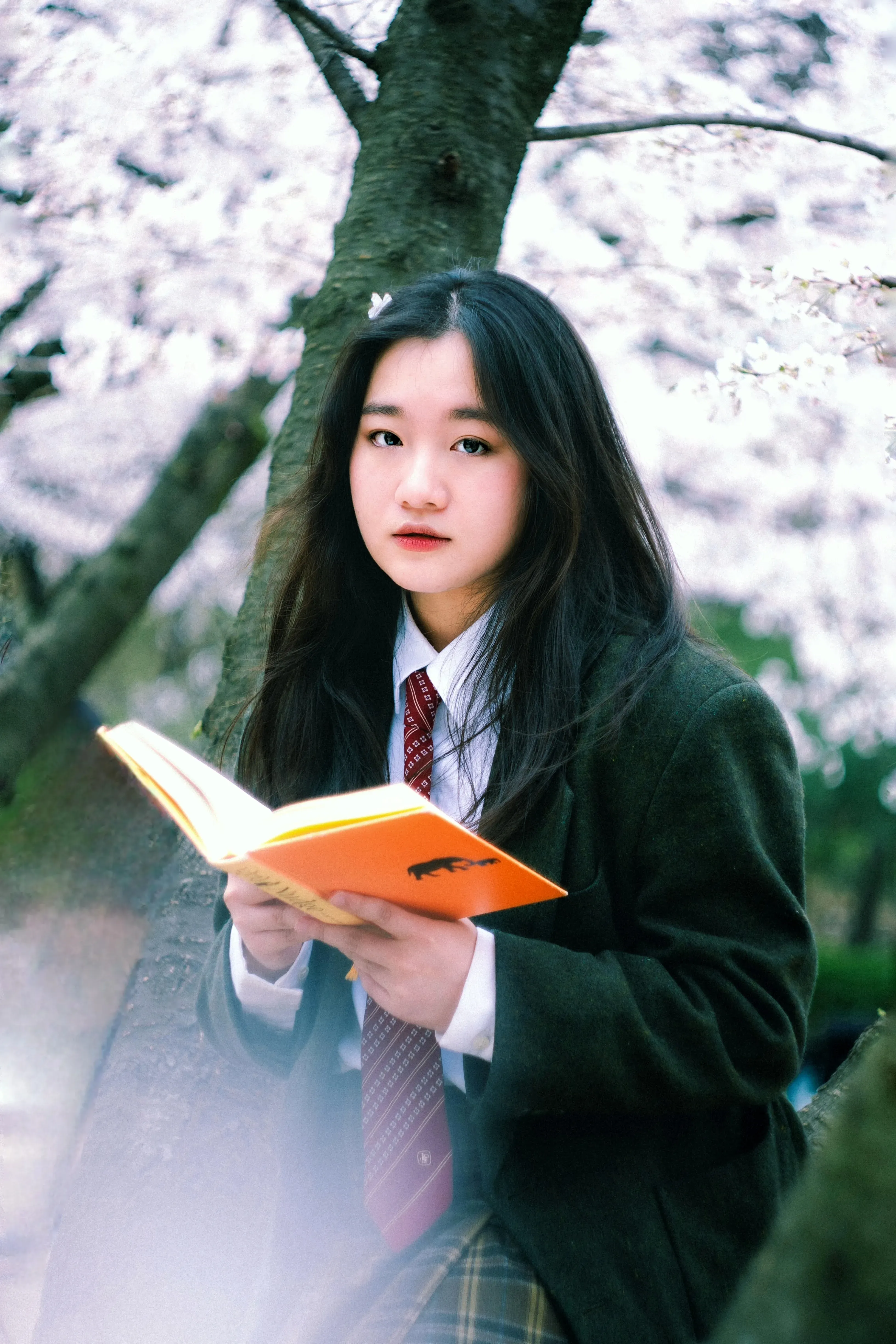 Woo Jueun's' profile picture