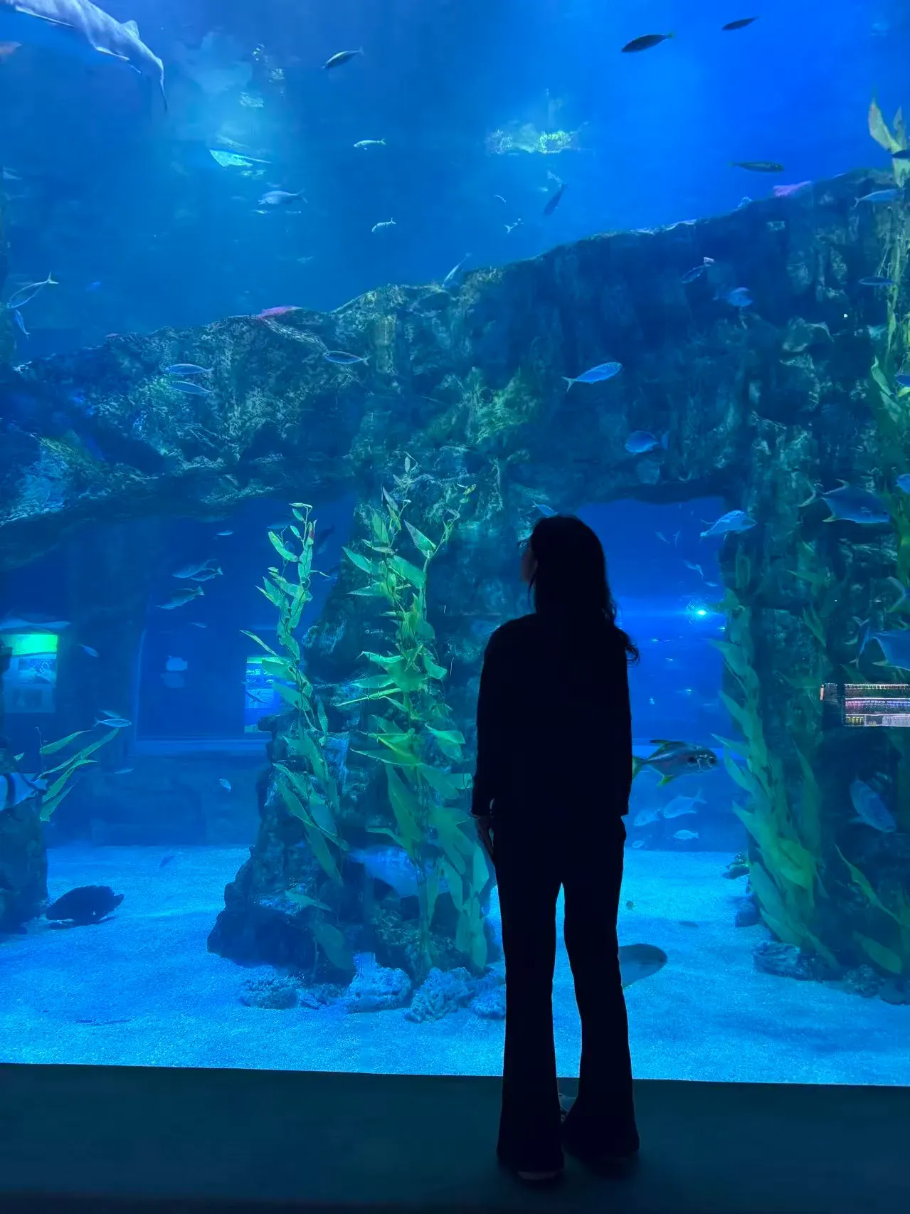 yue wang's' profile picture yue wang's' profile picture