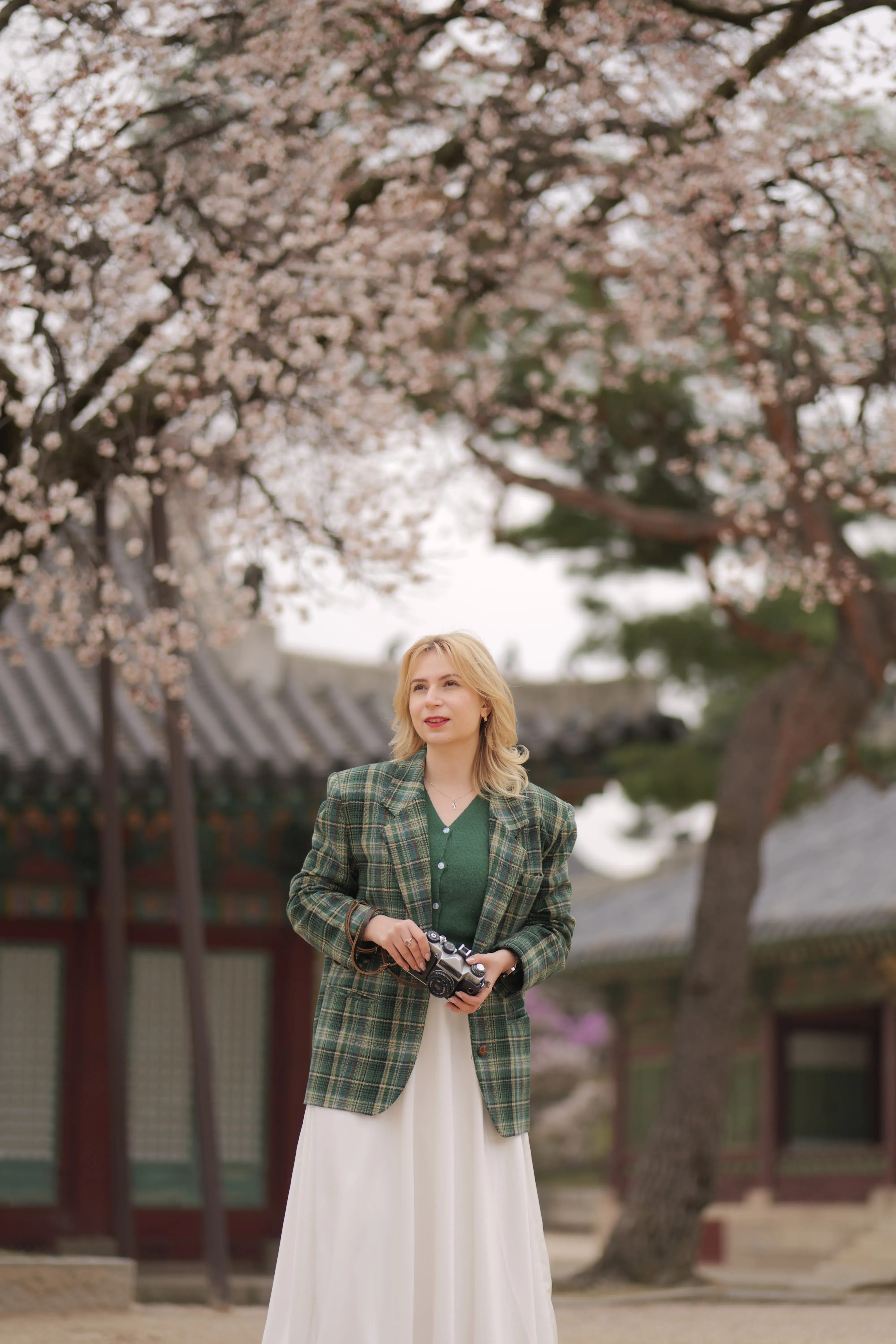 Raisa Shemetun's' profile picture Raisa Shemetun's' profile picture